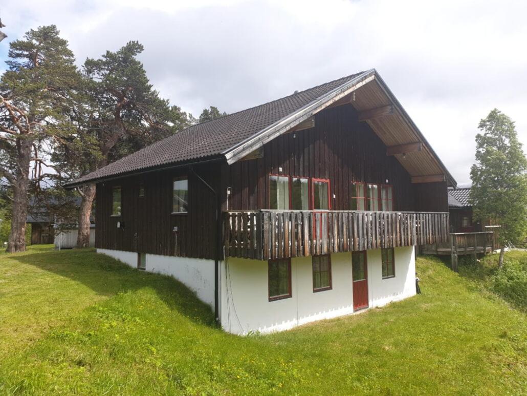 Photo 46