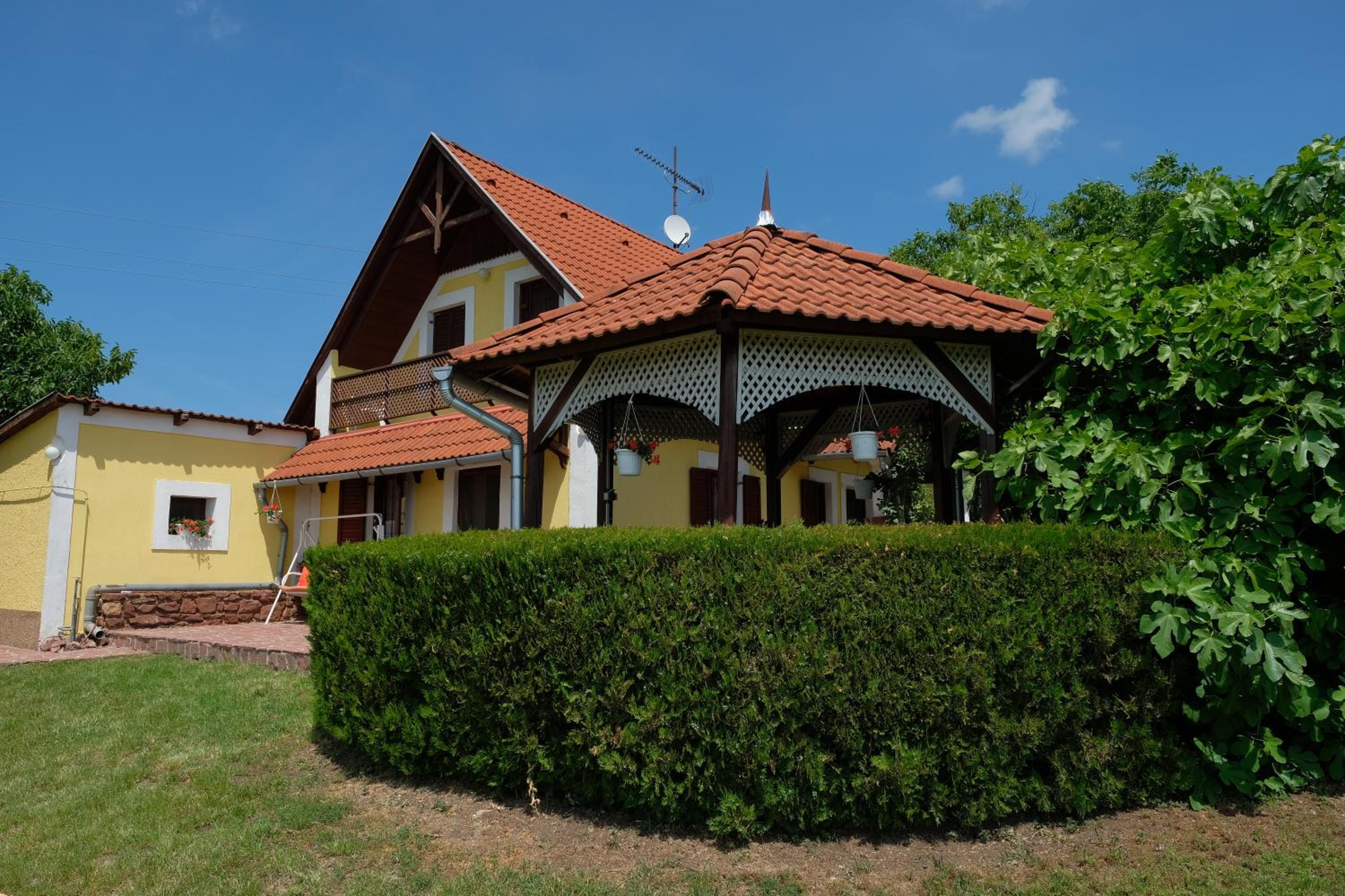 Photo 12