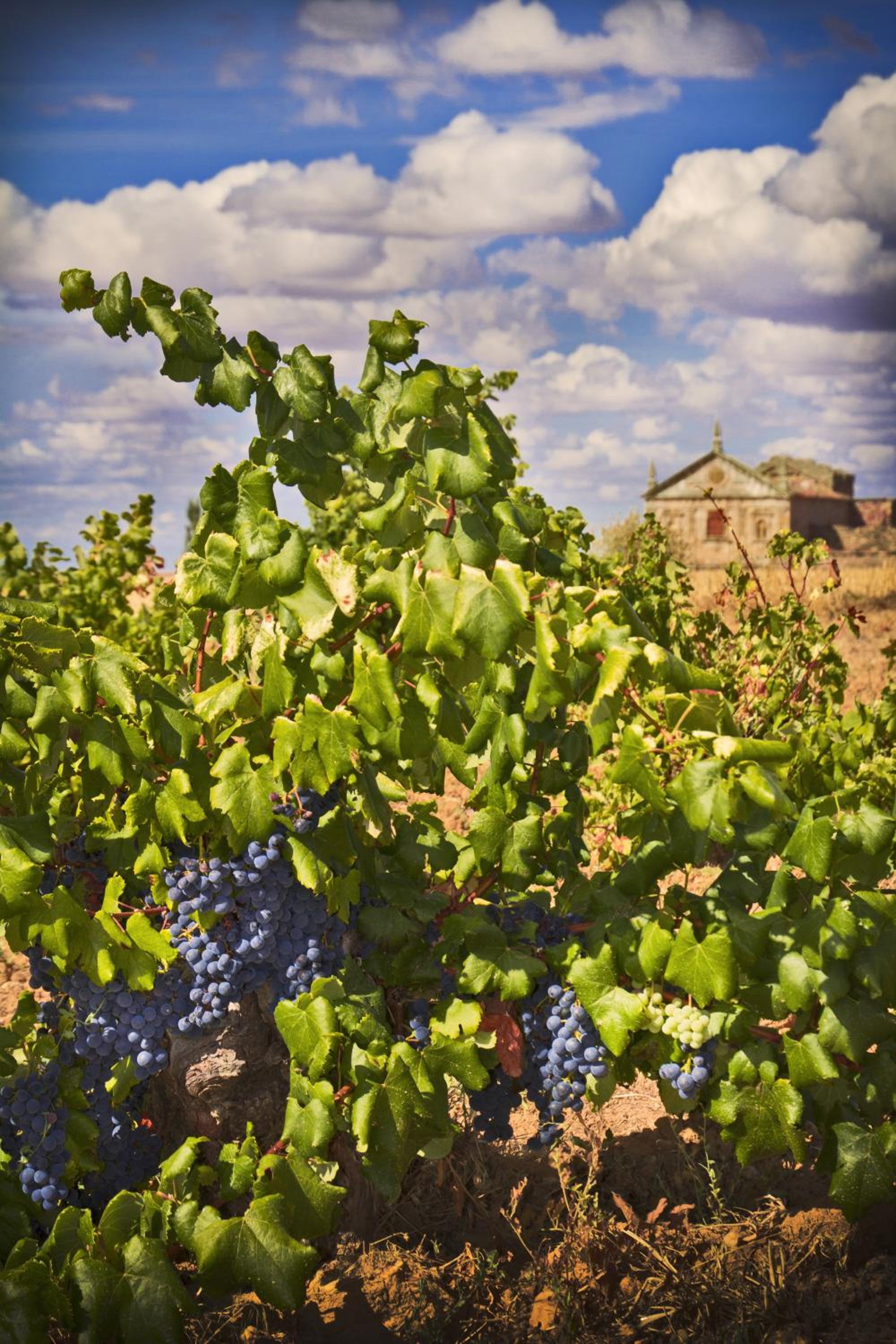 Posada Real del Buen Camino, alojamiento rural