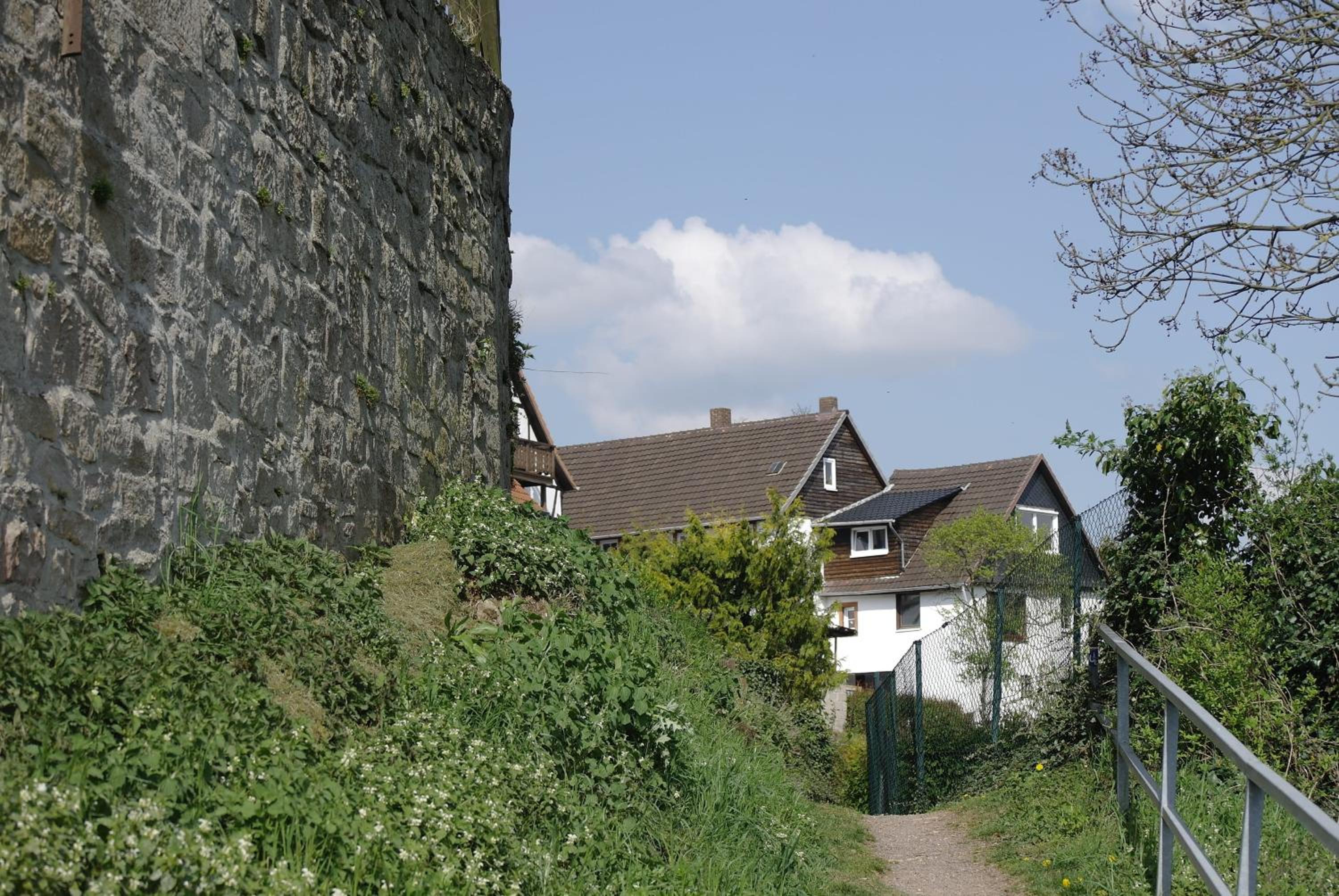 Photo 48