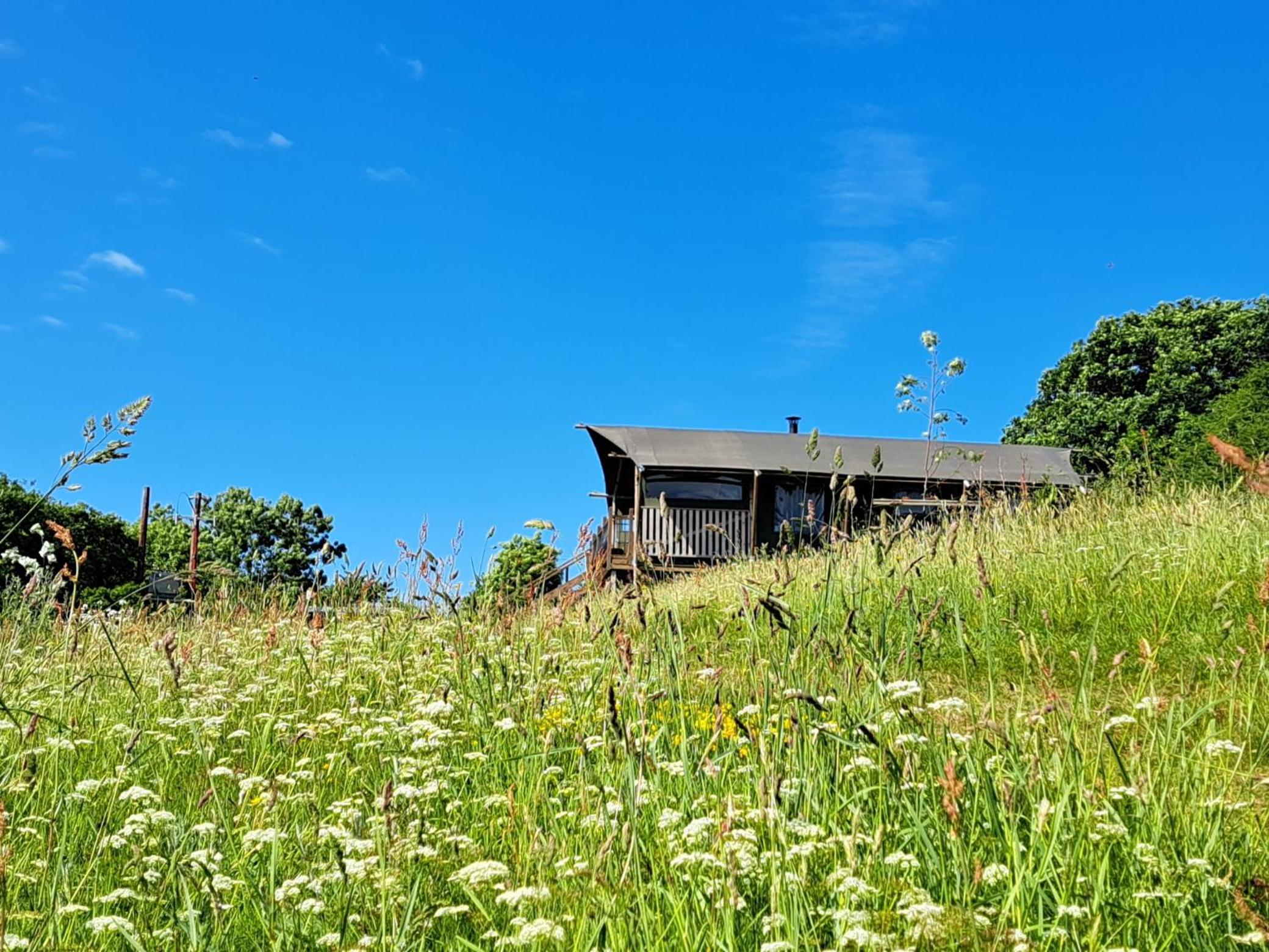 Hotel Brackenhill Glamping - Safari Tent with Hot Tub