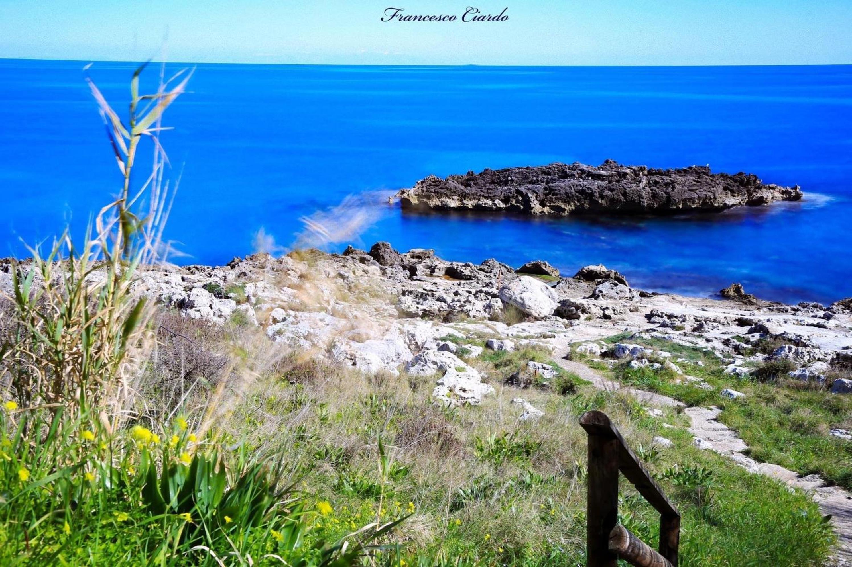 Tenuta la Trebbia