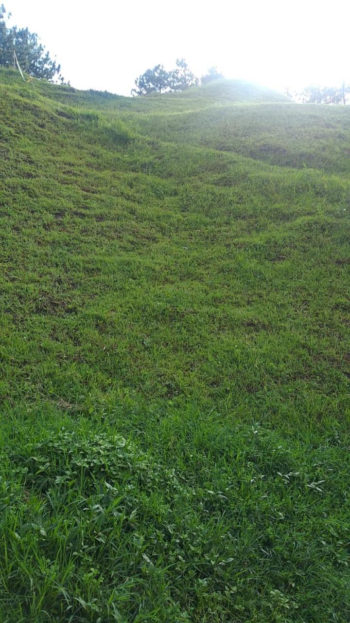 Photo 31