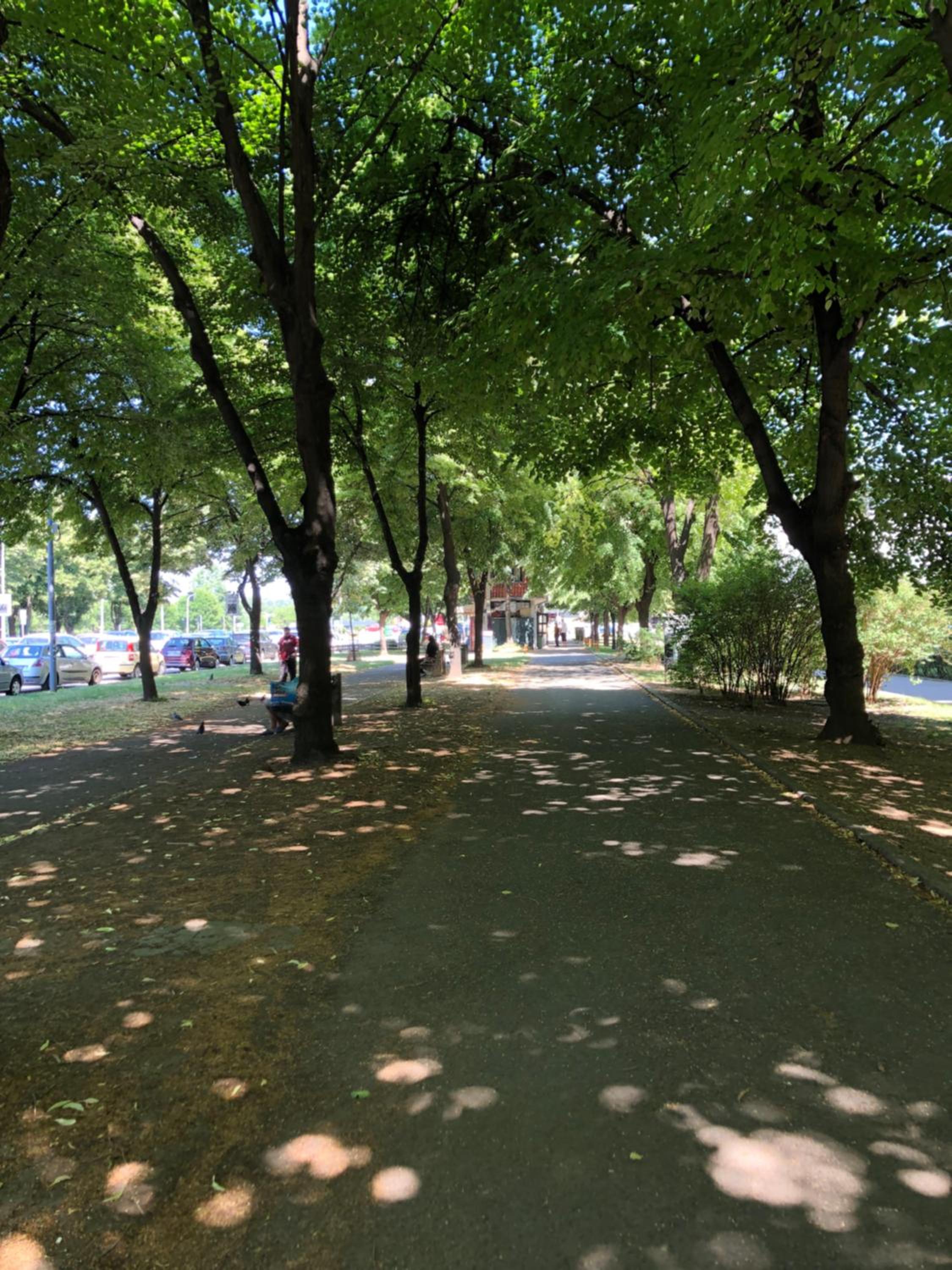 Photo 26