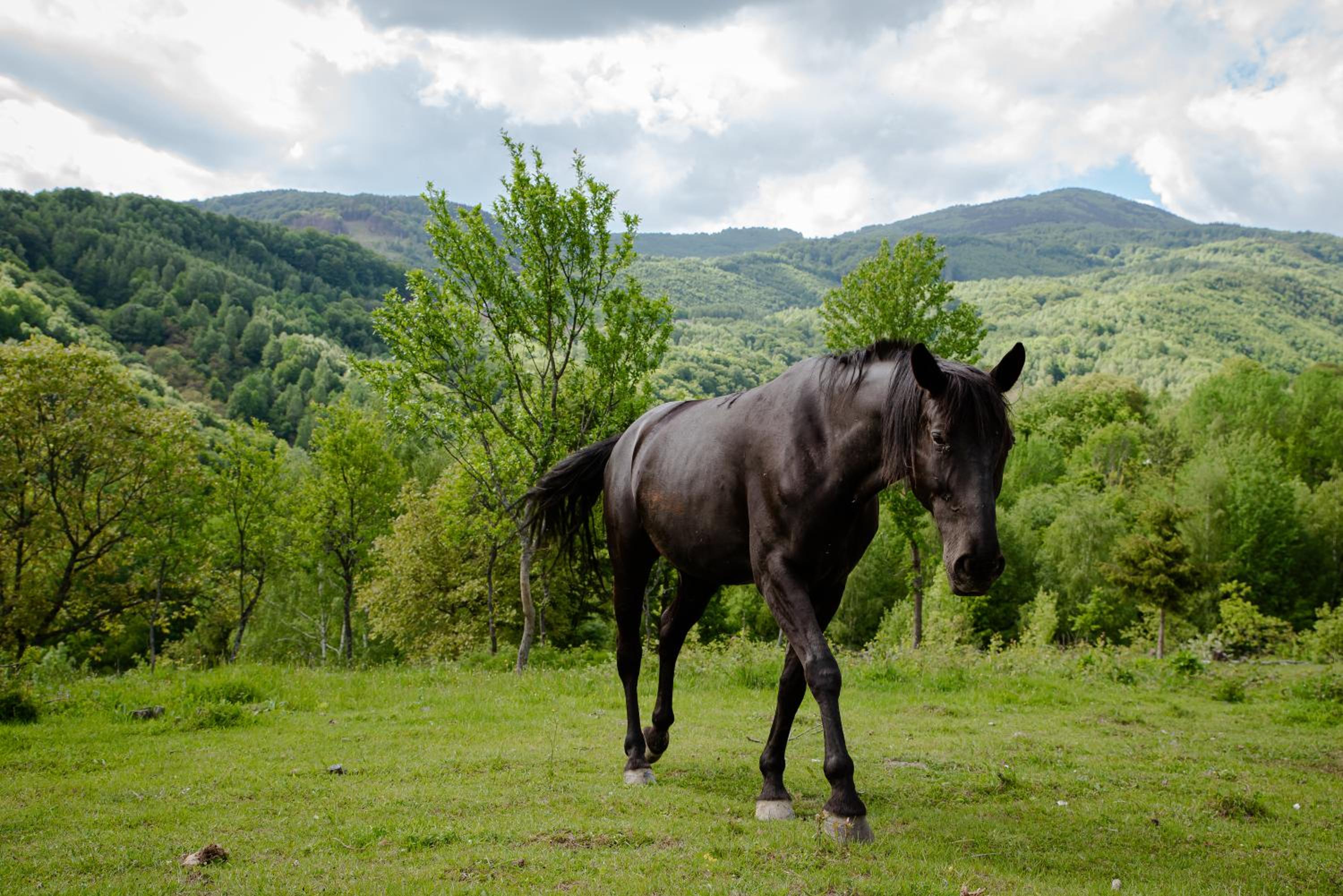 RoVillage România