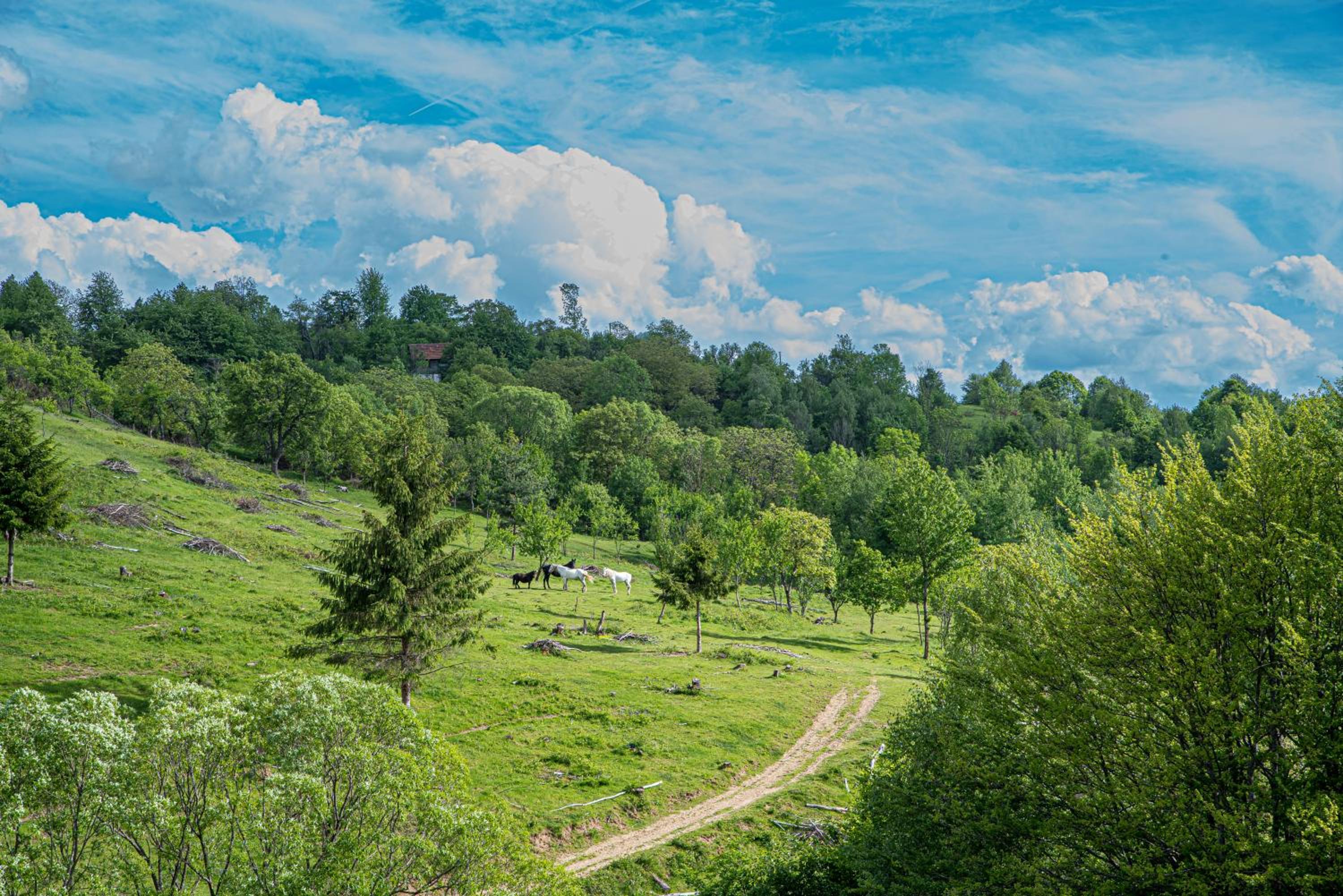 RoVillage România