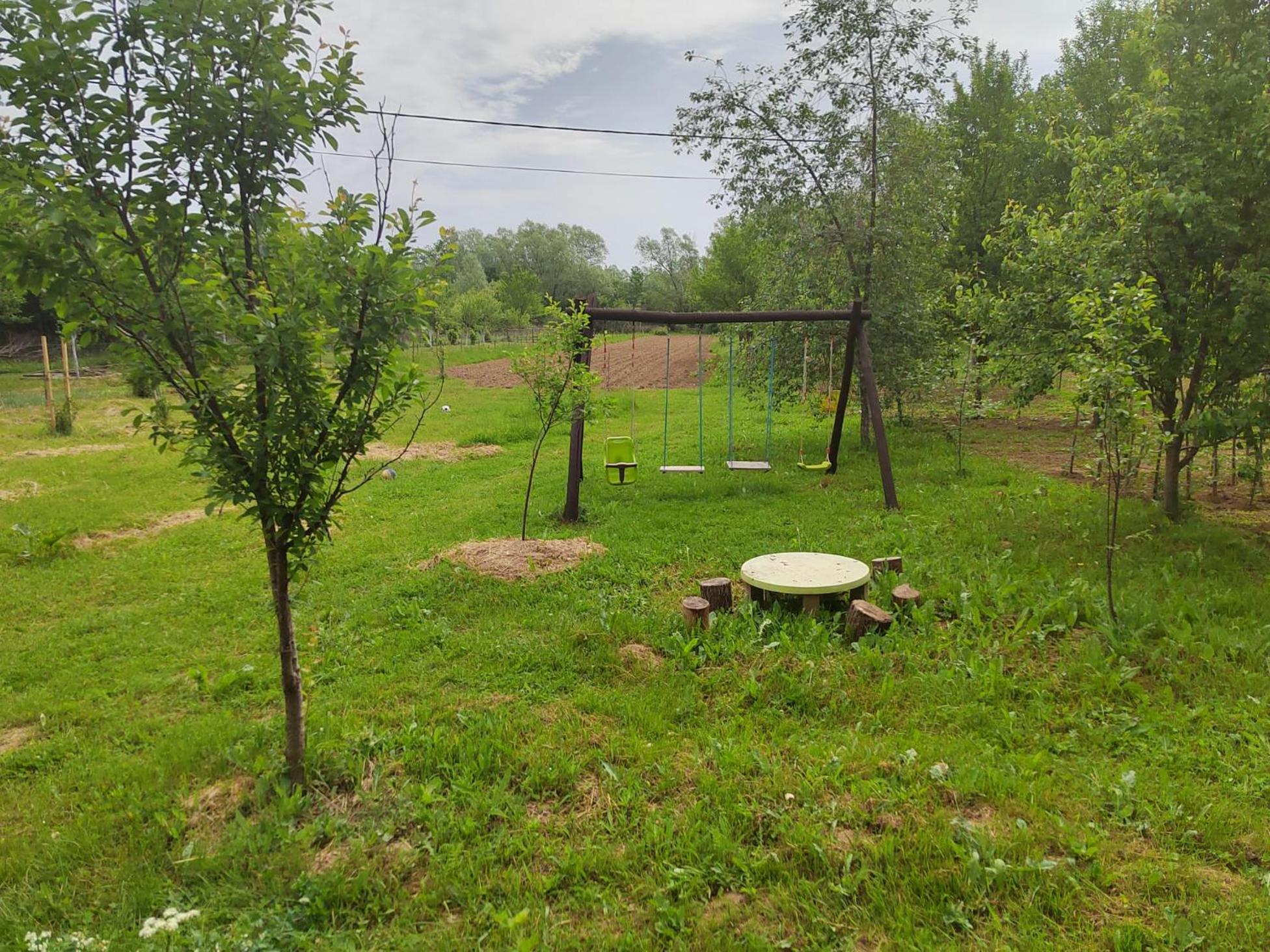 Photo 25