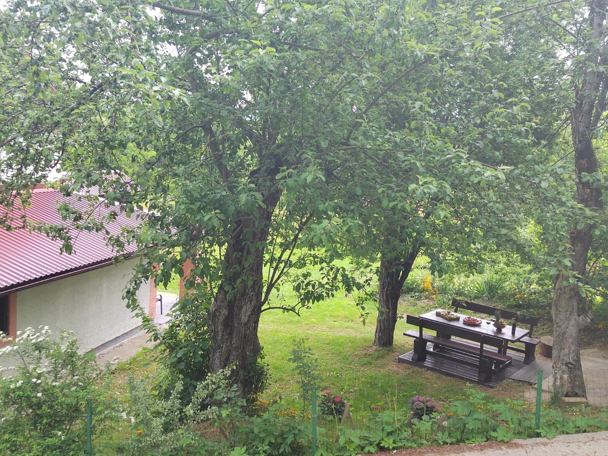 Photo 27