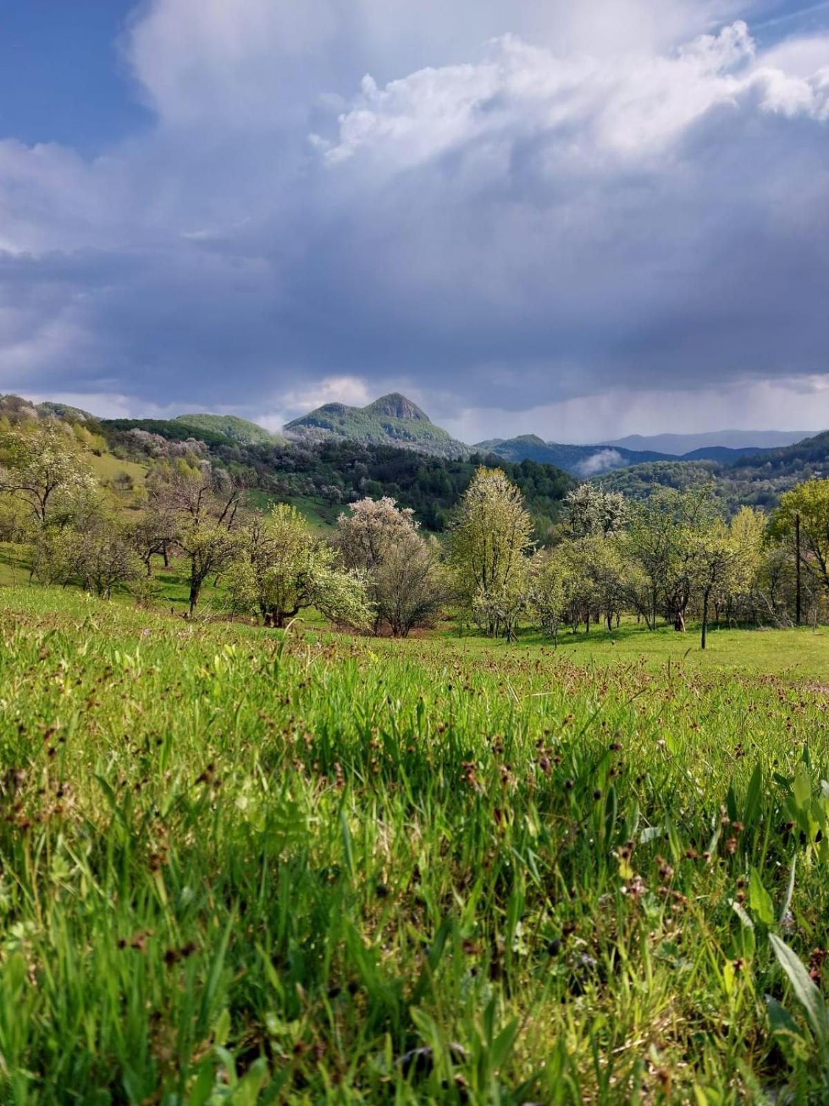 RoVillage România