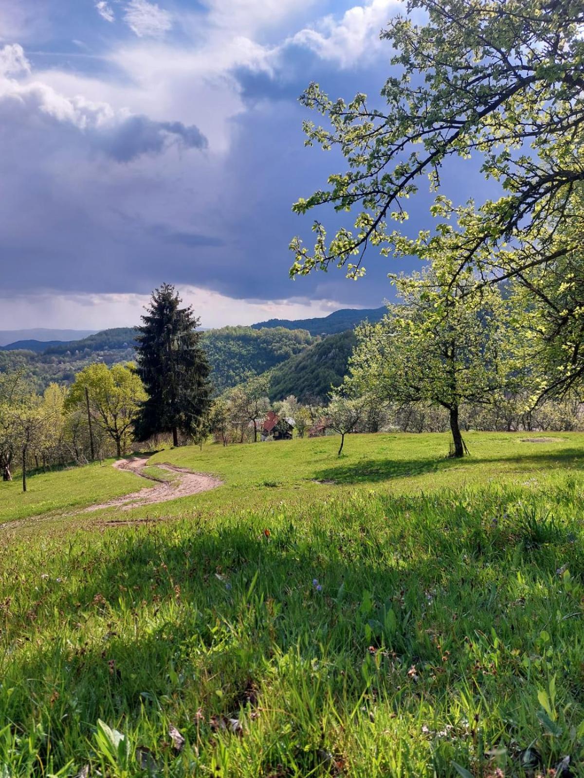 RoVillage România