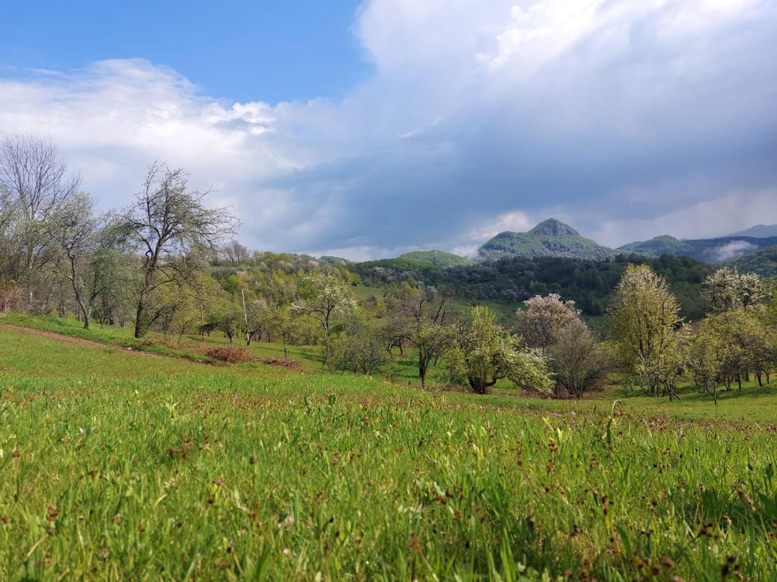 RoVillage România