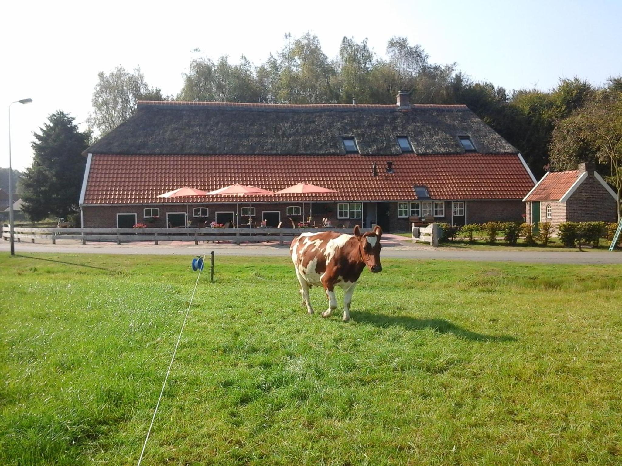 B&B De Luttikhoeve view 5
