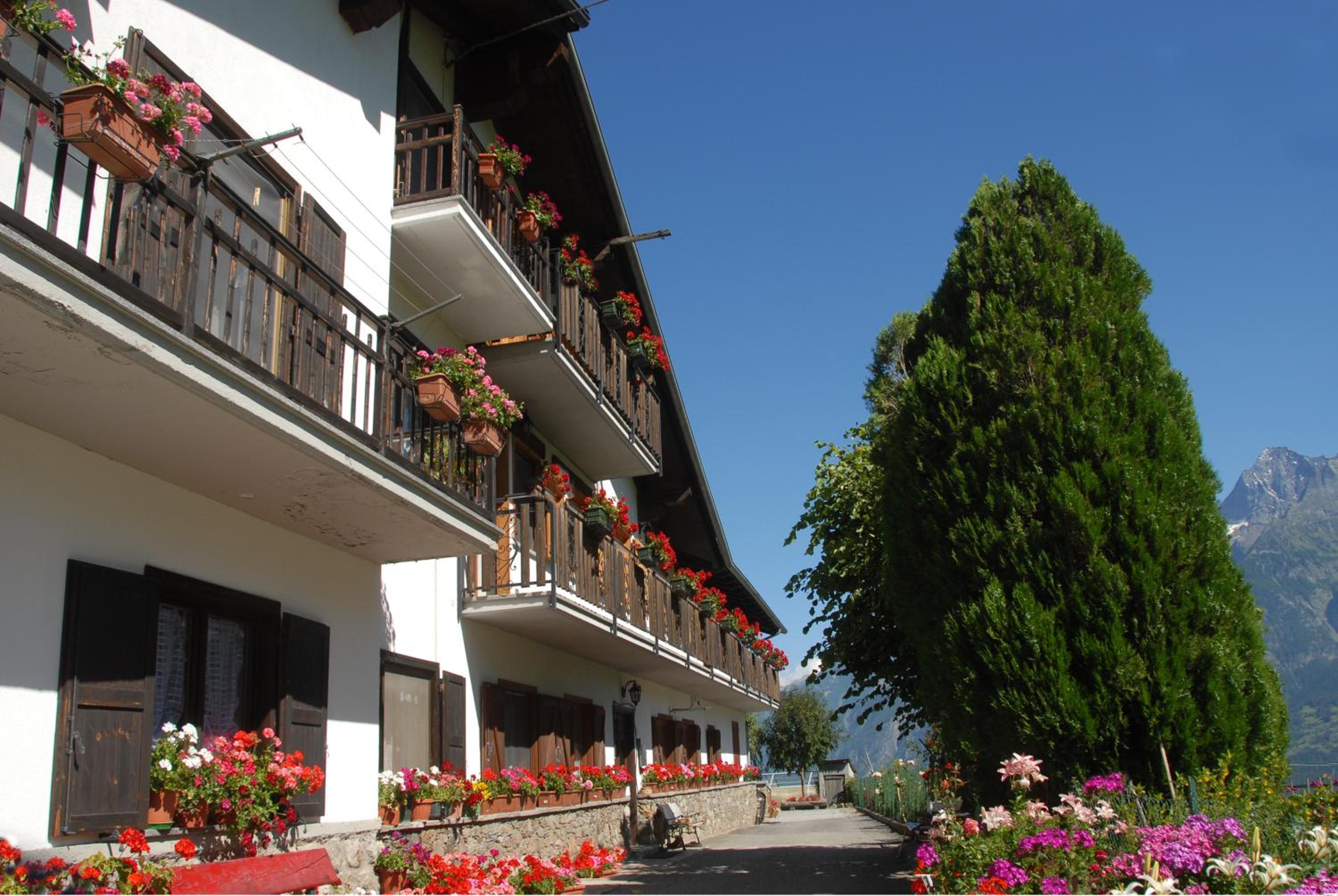 Agriturismo Plan d'Avie view 2