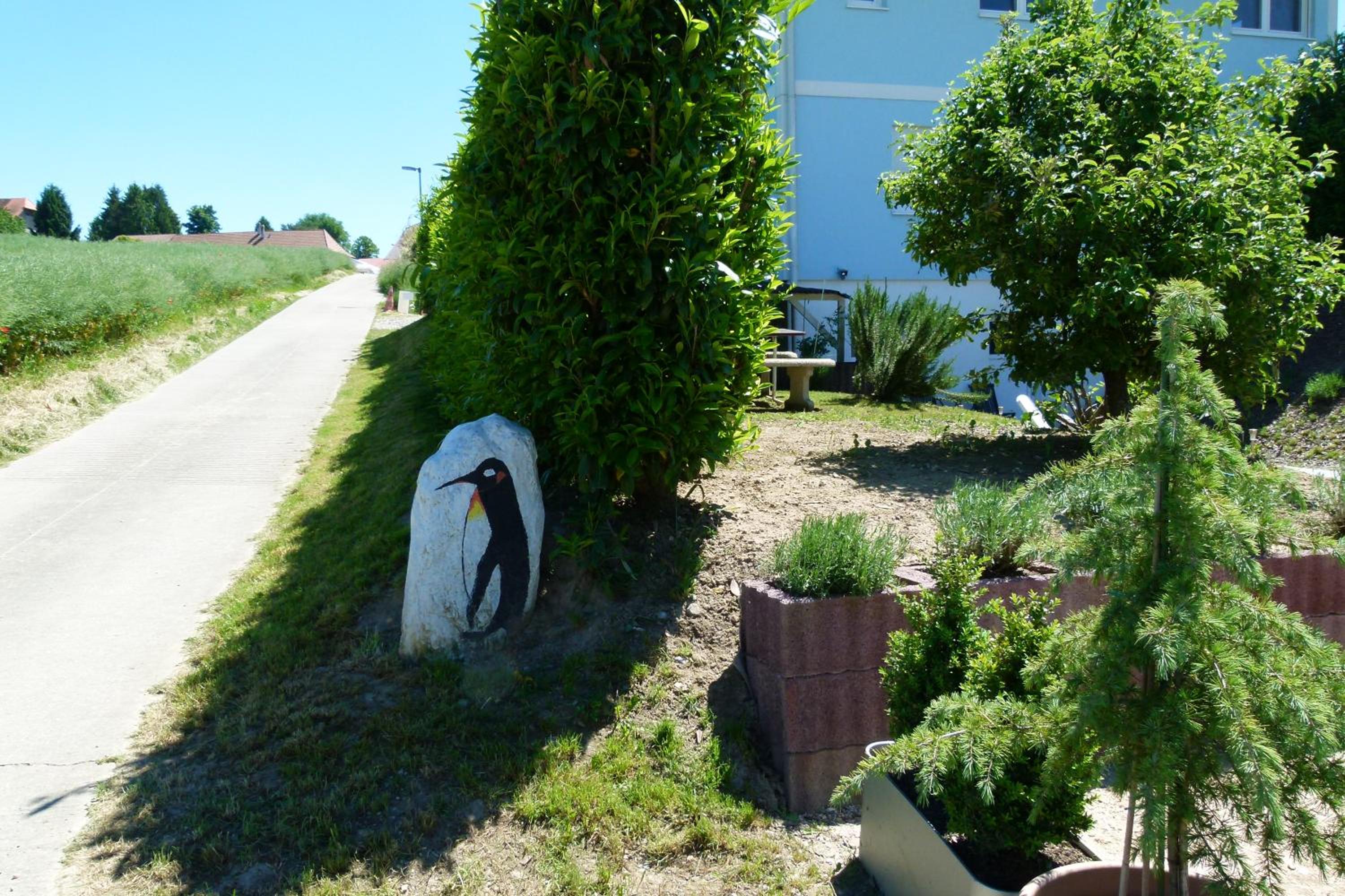 Photo 16