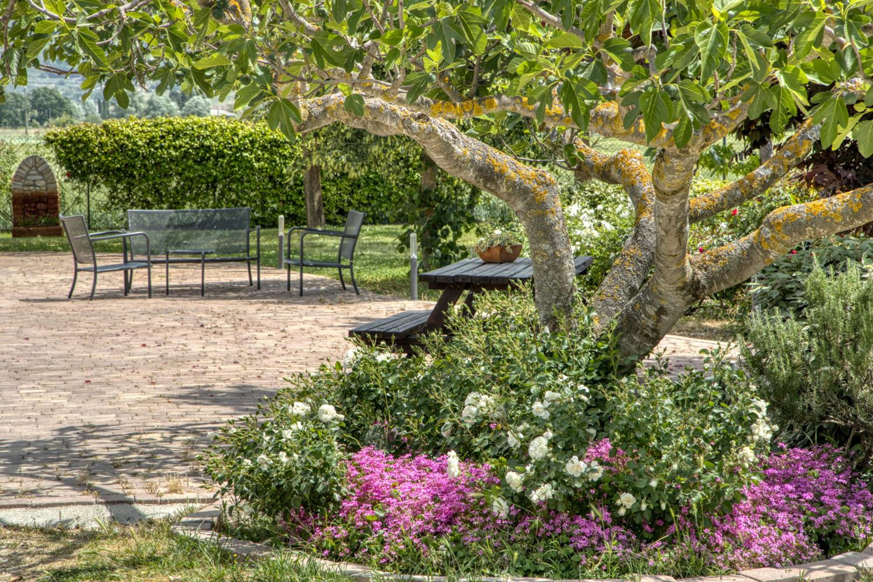 Agriturismo Il Barco