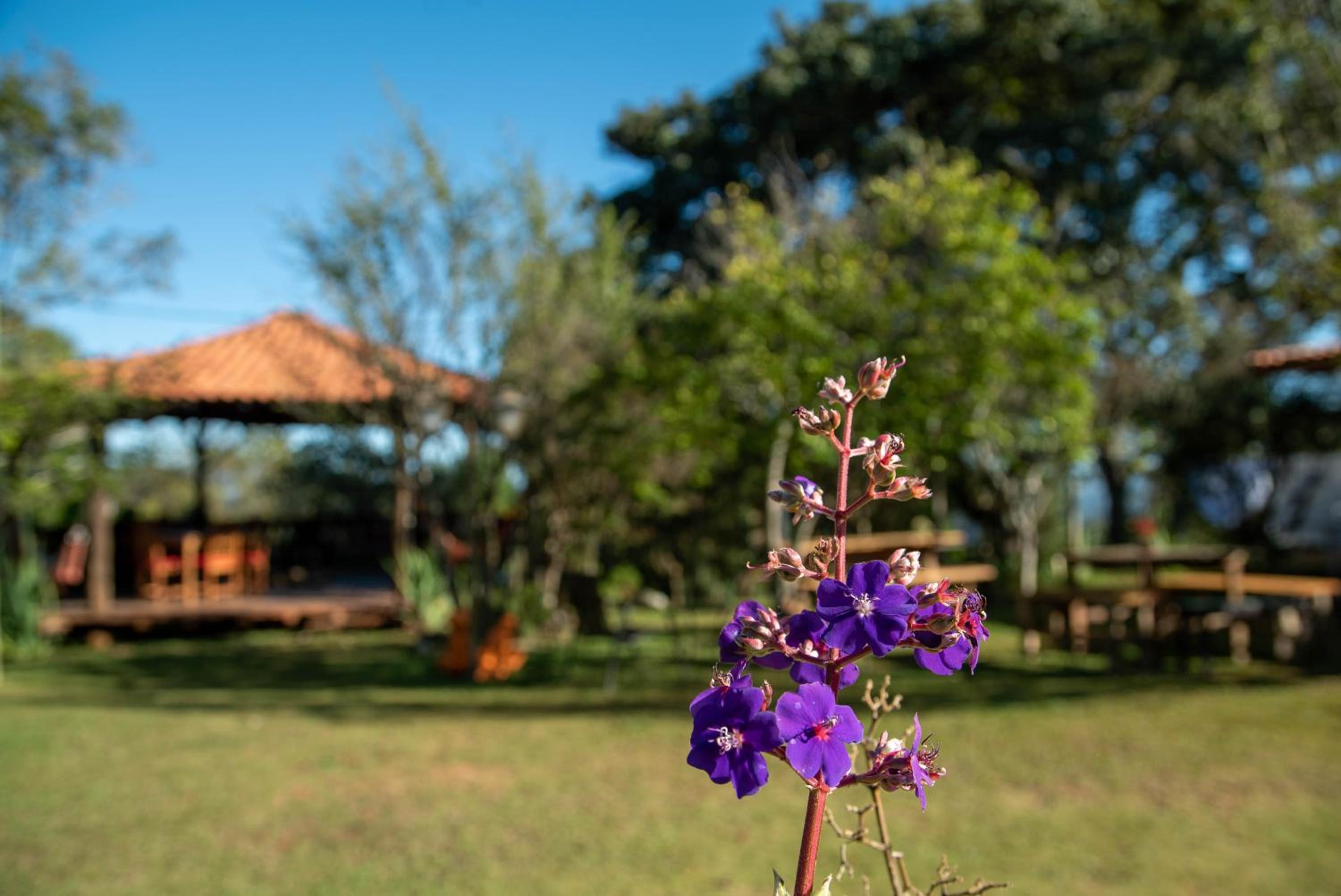 Espaço Flor Das Águas