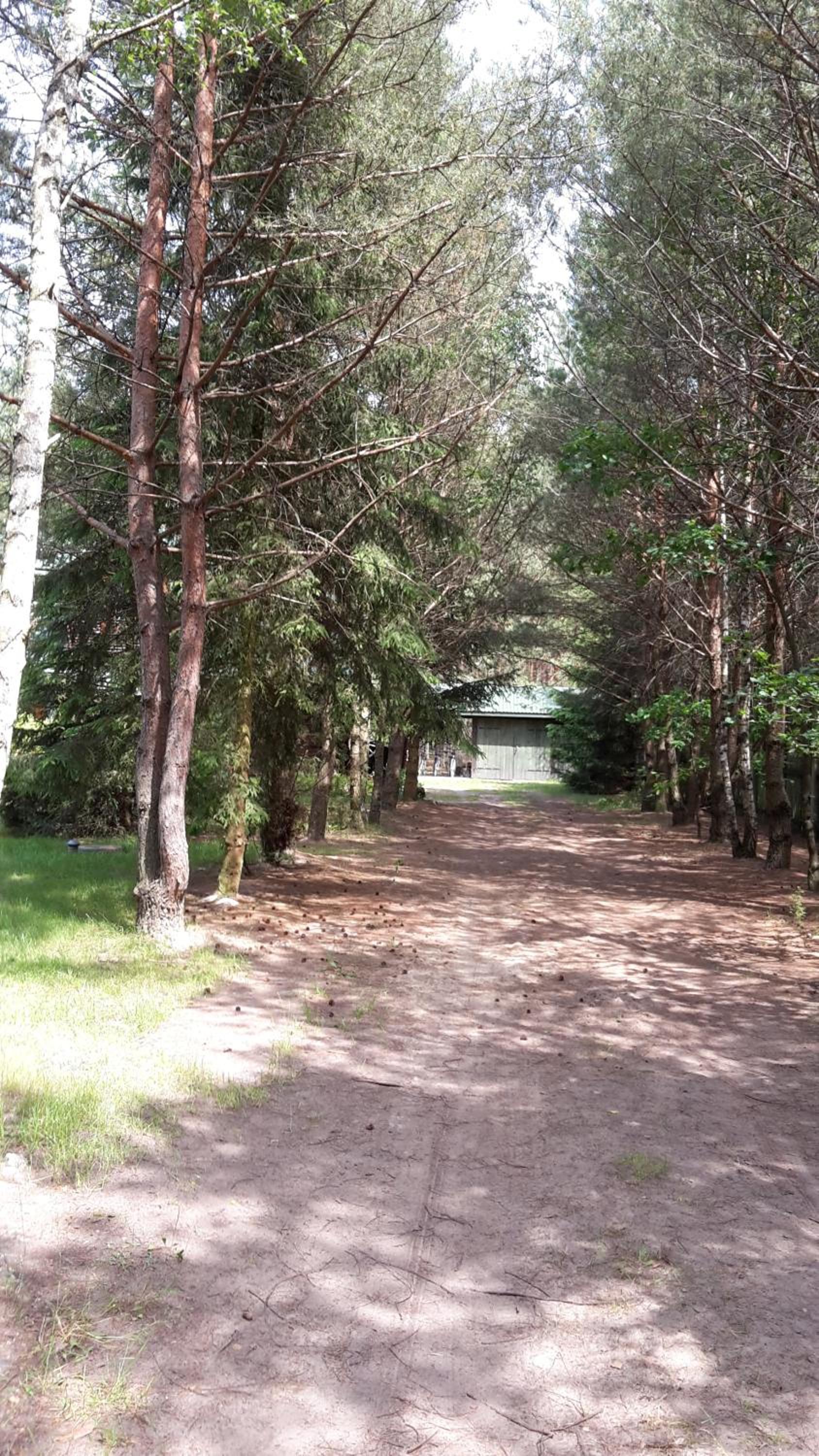 Photo 40