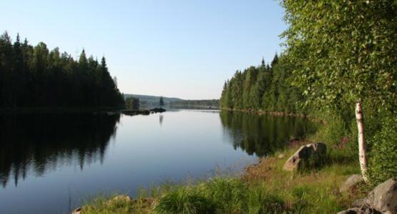 Photo 51