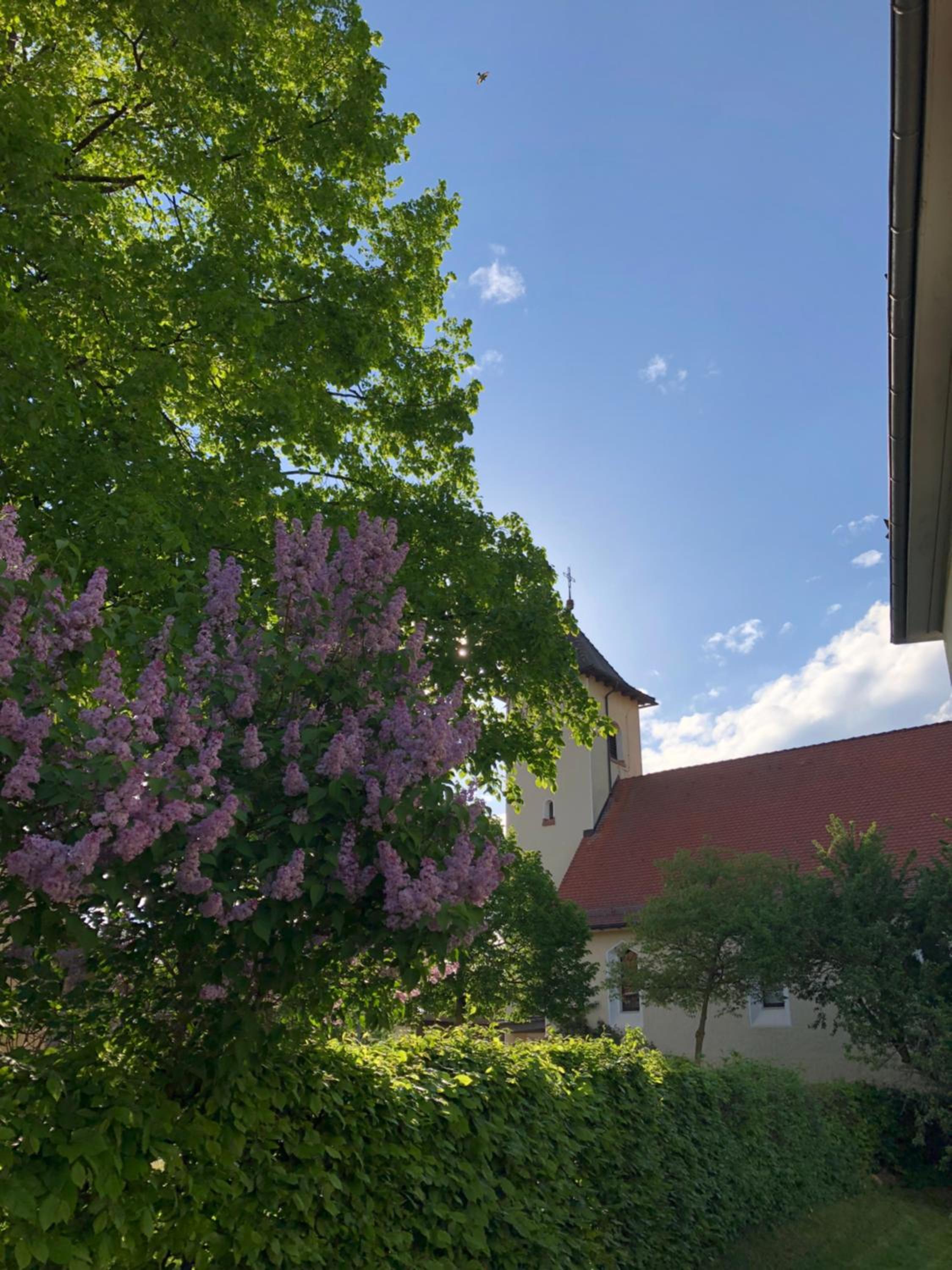 Altes Schulhaus Mutschelbach