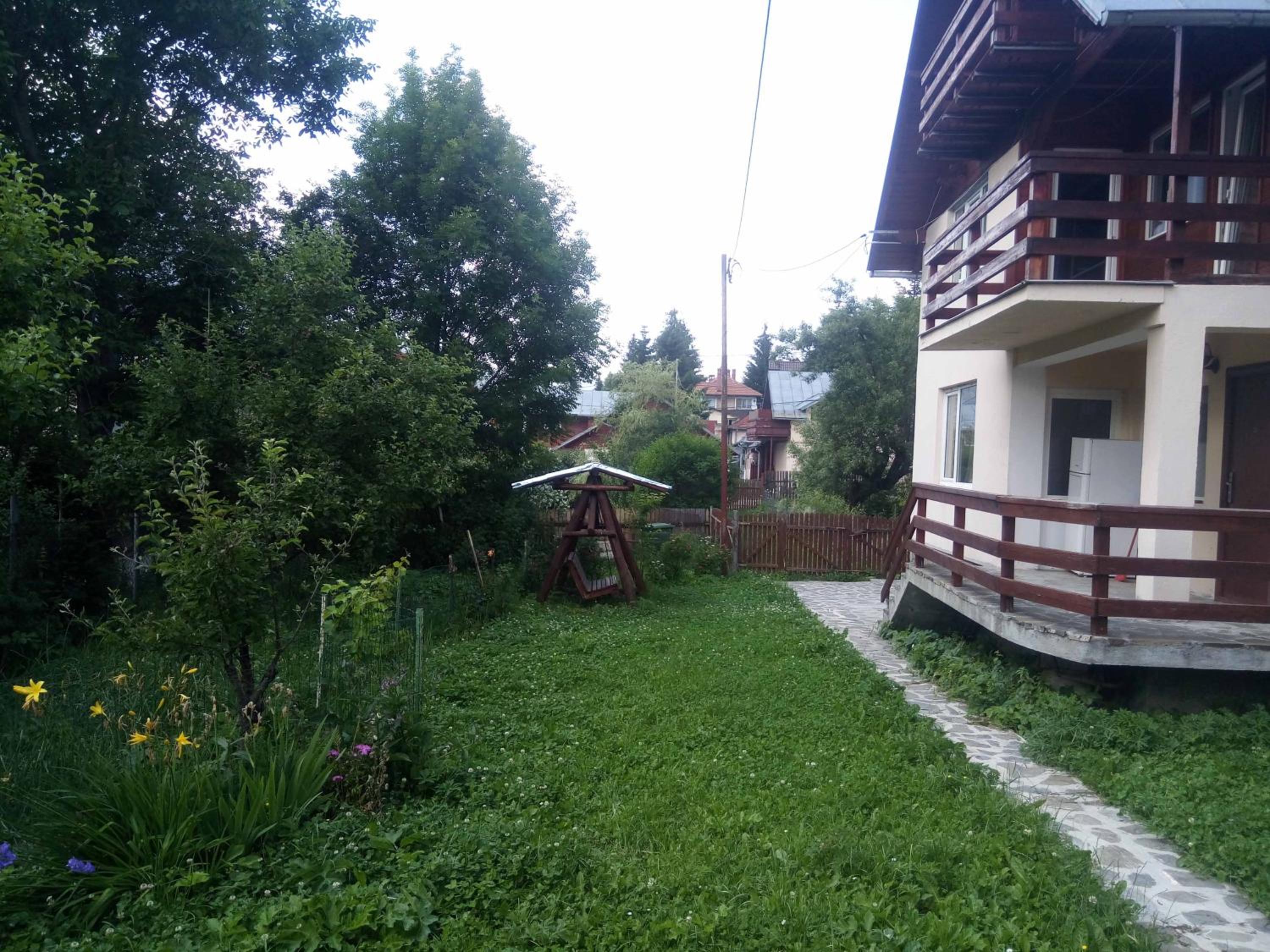Photo 50