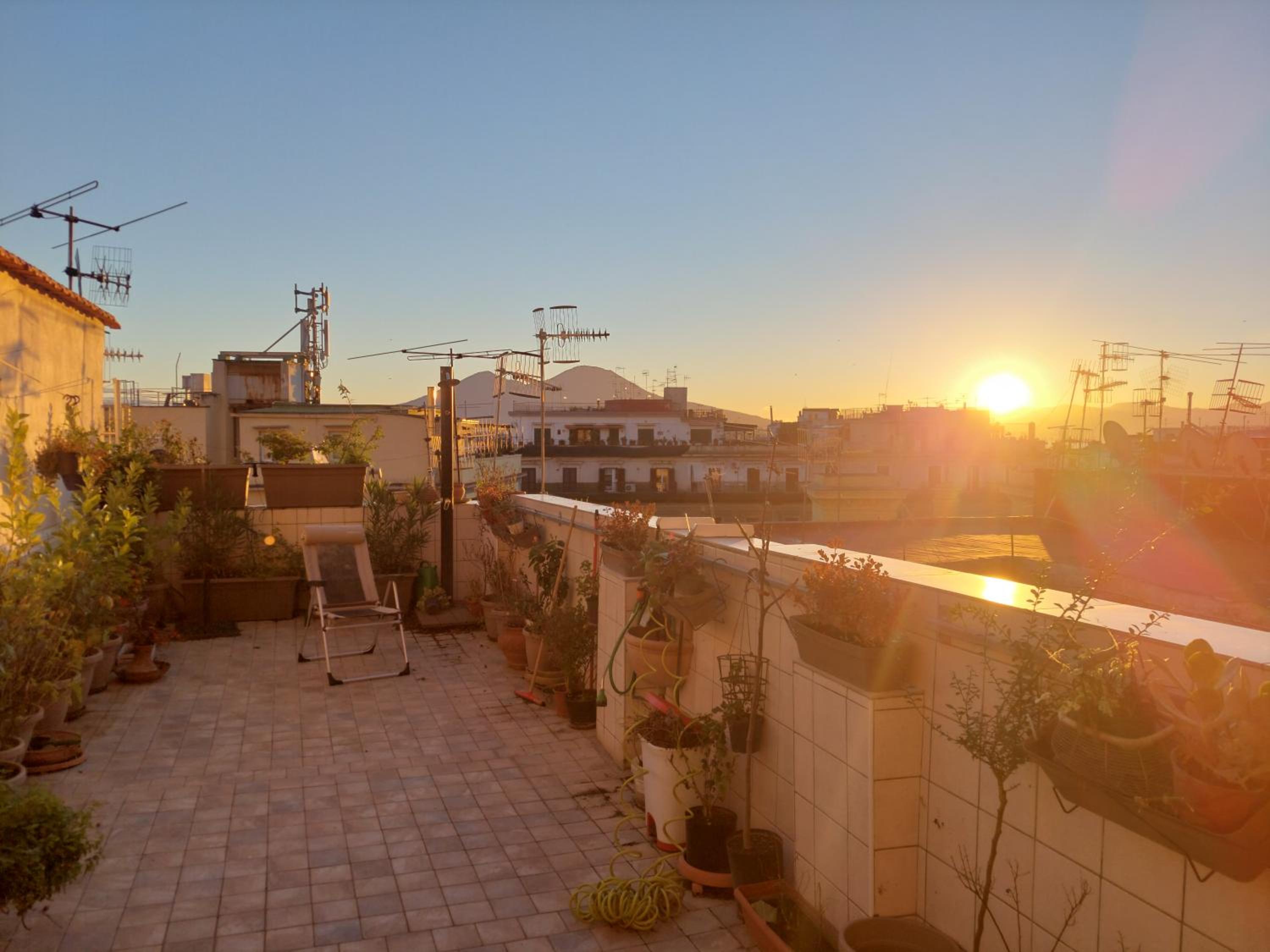 roof