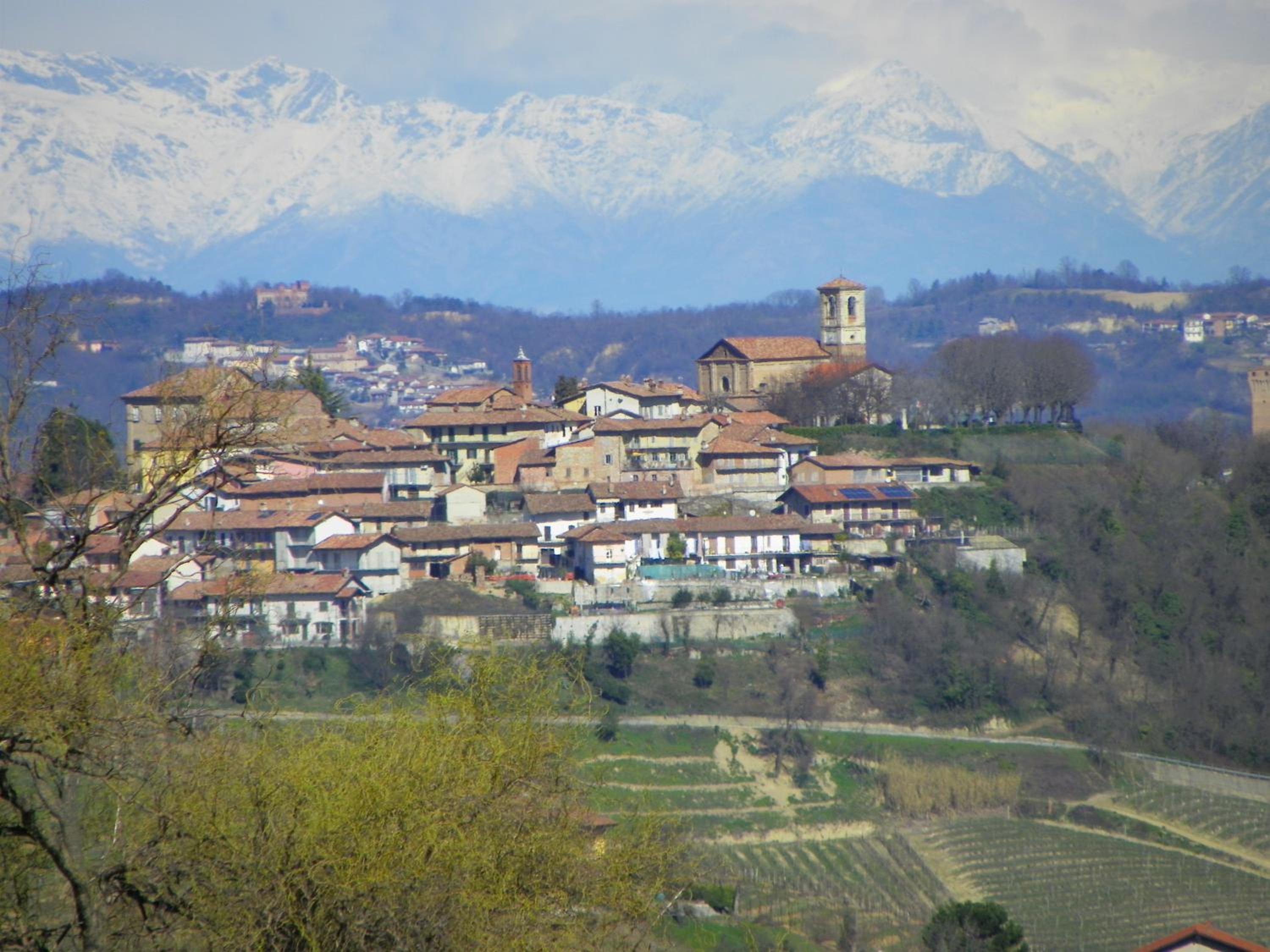 Photo 44