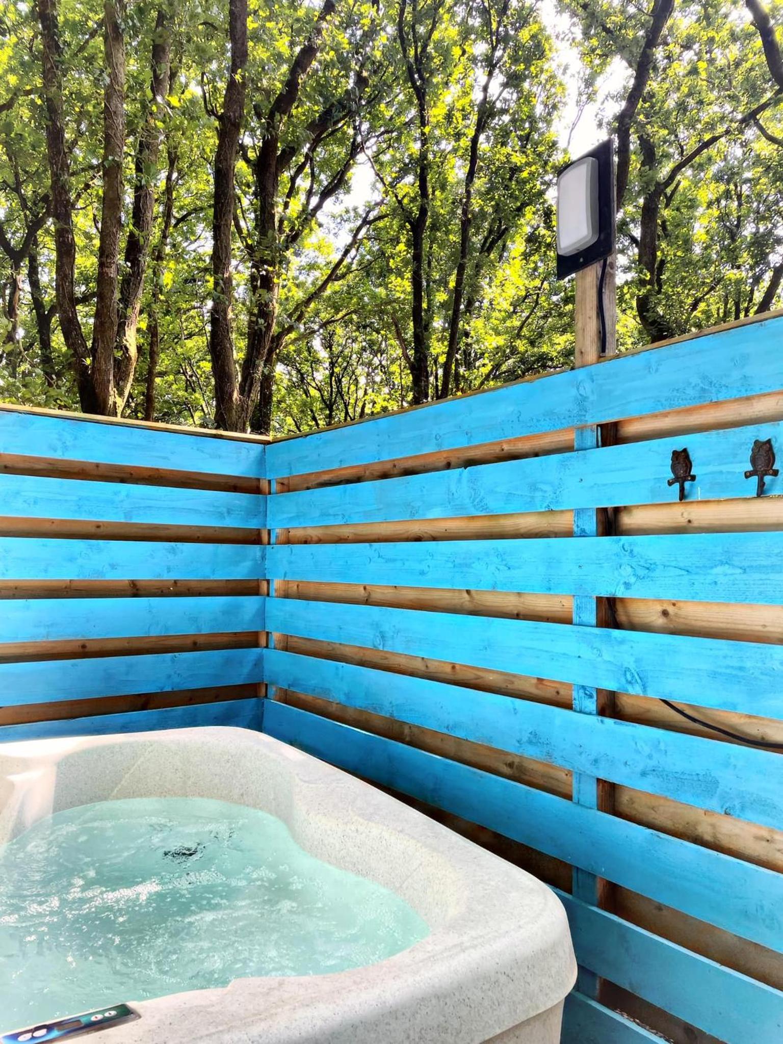 Hotel The Pod-Hot Tub-Woodland Lodges-St Clears-Carmarthen - Image 1