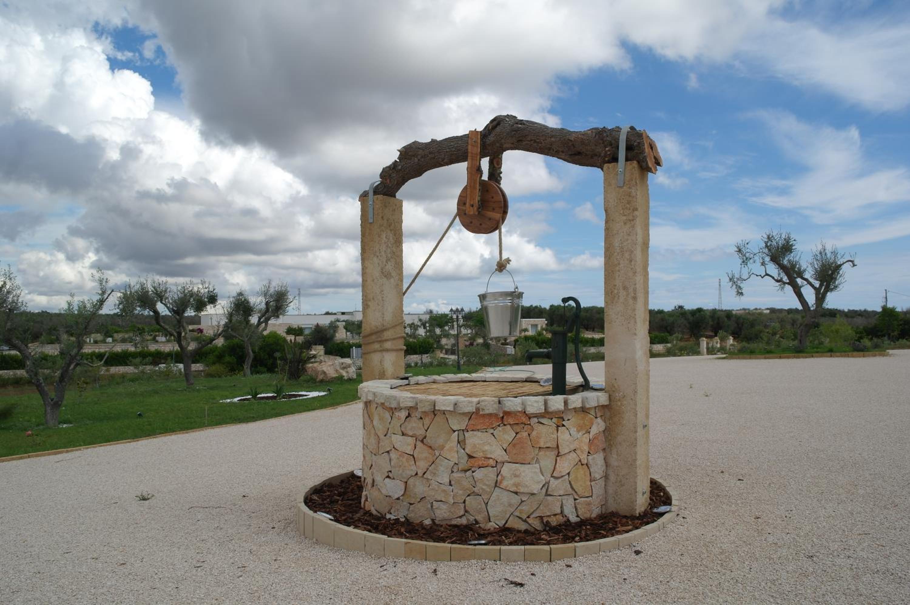 TENUTA DOROLIVO photo 4