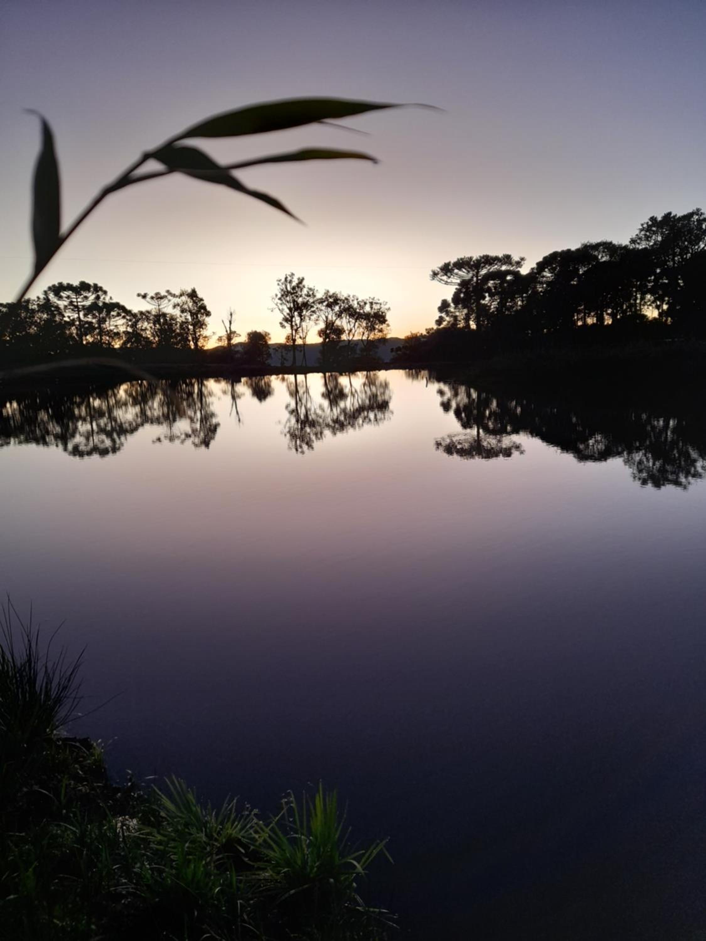 Refúgio Altos do Campestre - TURISMO RURAL