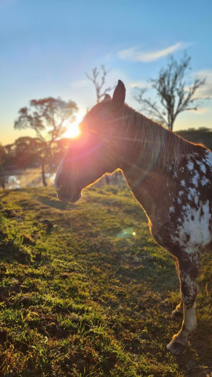 Refúgio Altos do Campestre - TURISMO RURAL