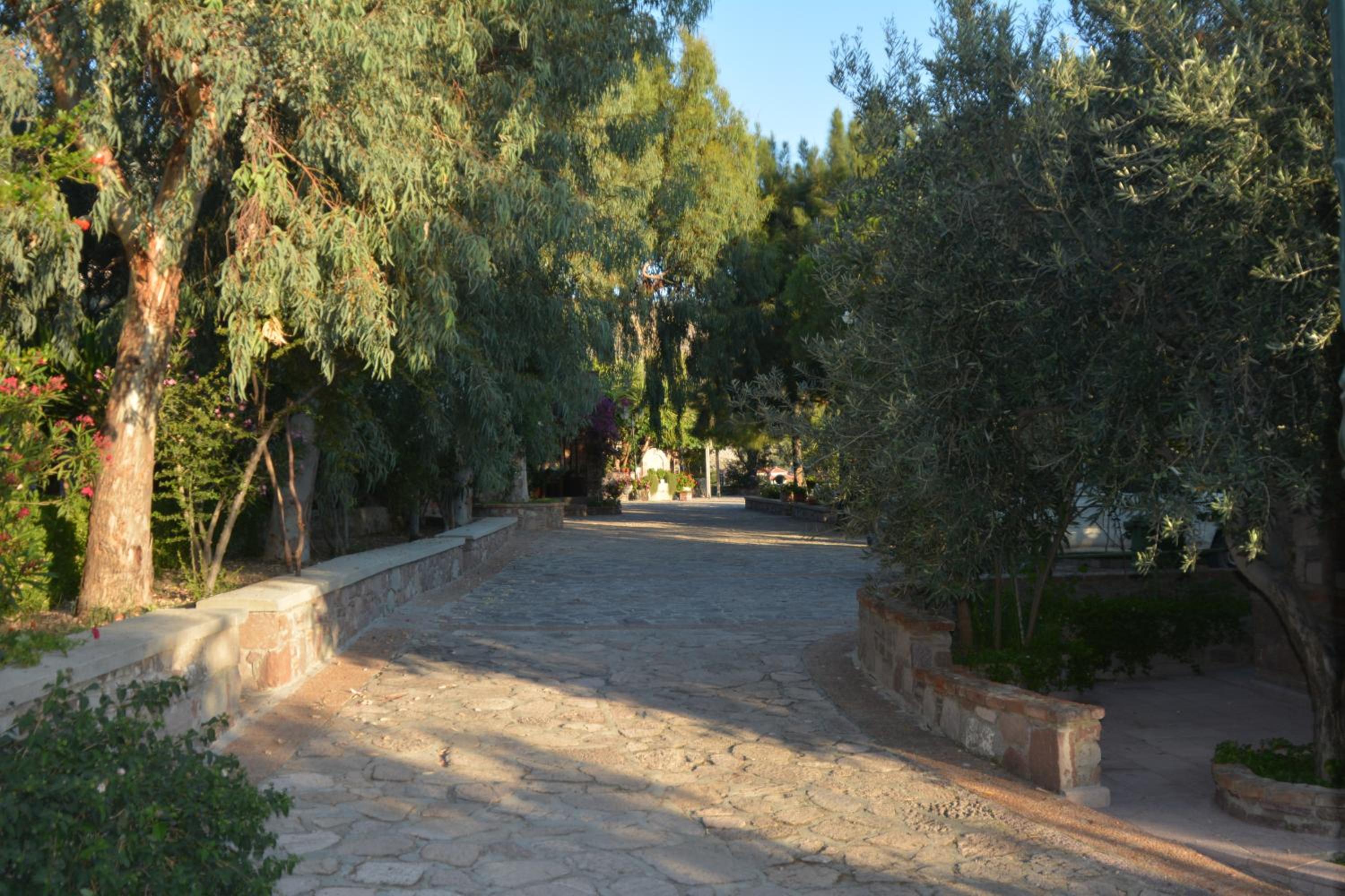 Photo 33