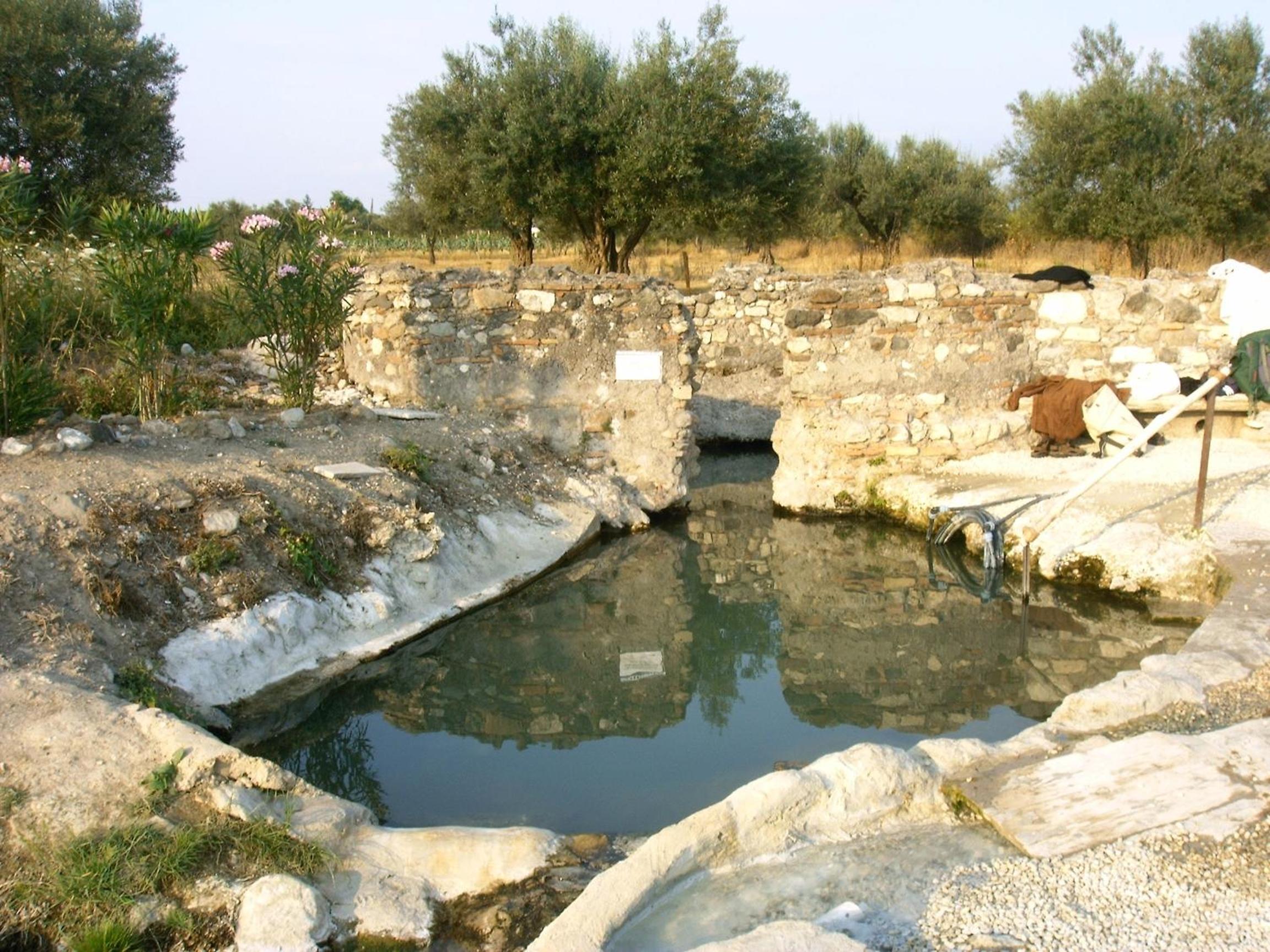 Forum Cassii