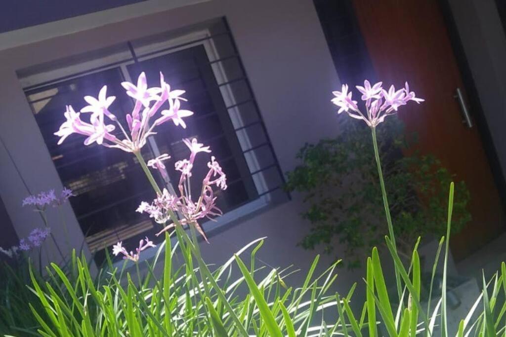 Duplex Rivadavia San Juan Argentina