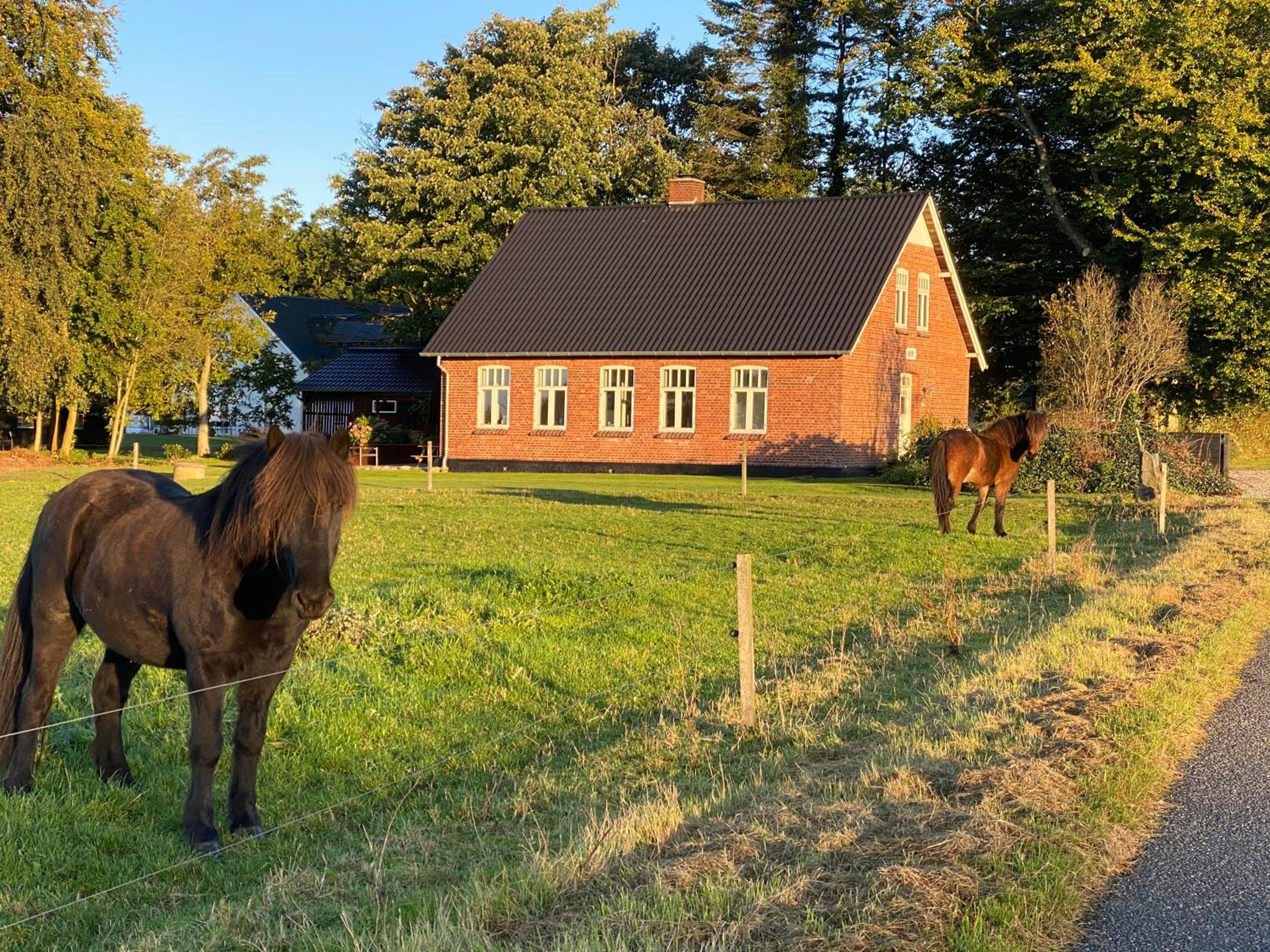Hyggelig aftægtsbolig i hjertet af Sønderjylland