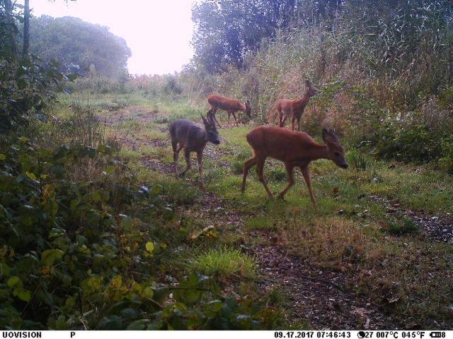 Hyggelig aftægtsbolig i hjertet af Sønderjylland