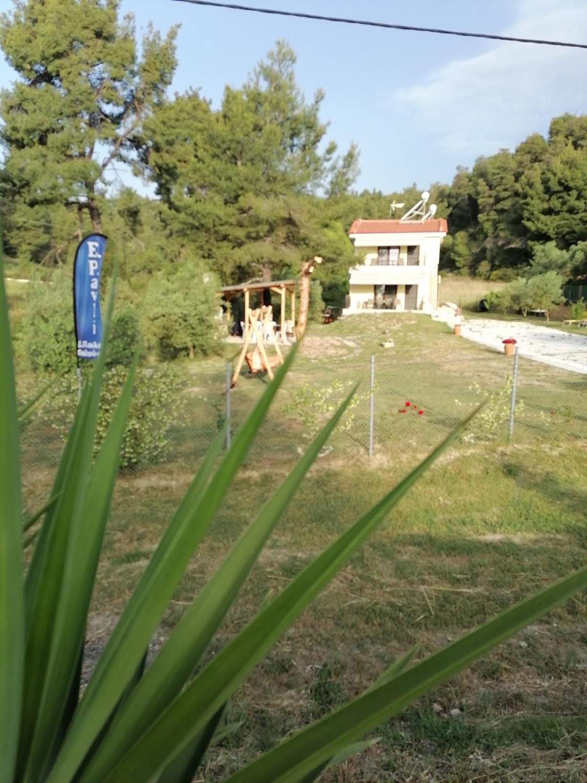 Photo 20