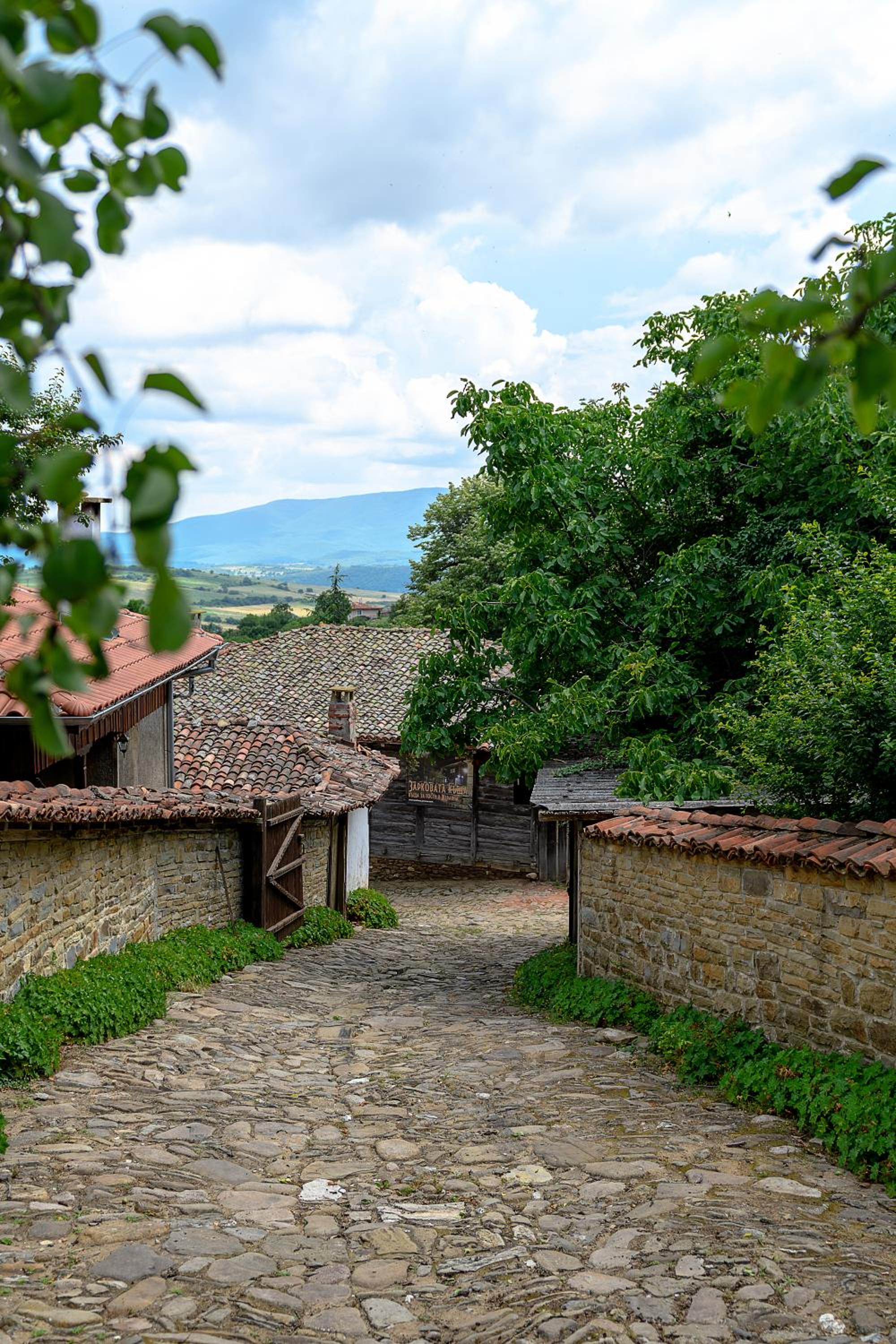 Guest House Zarkova Kushta