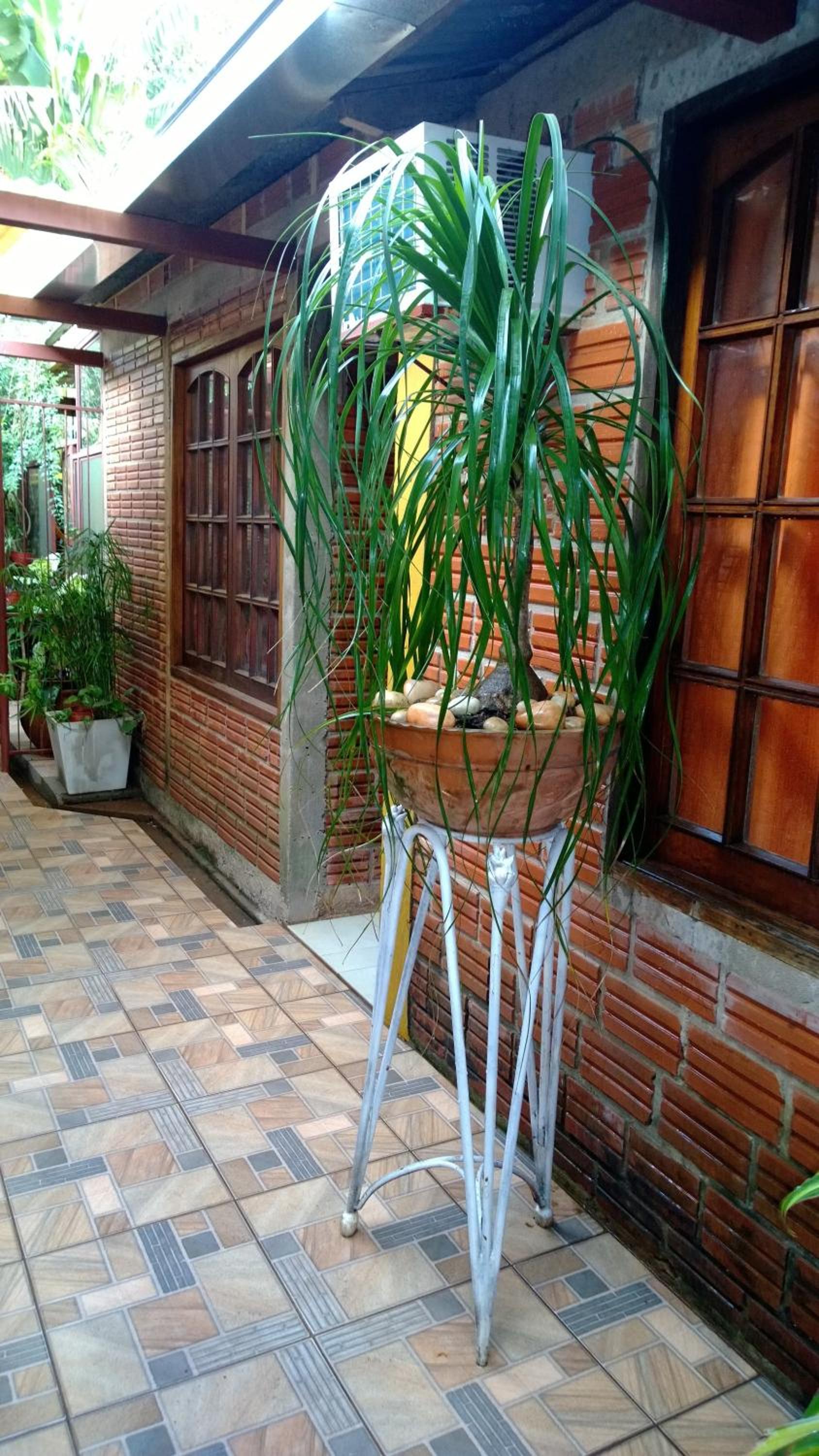 Posada Portal del Iguazu