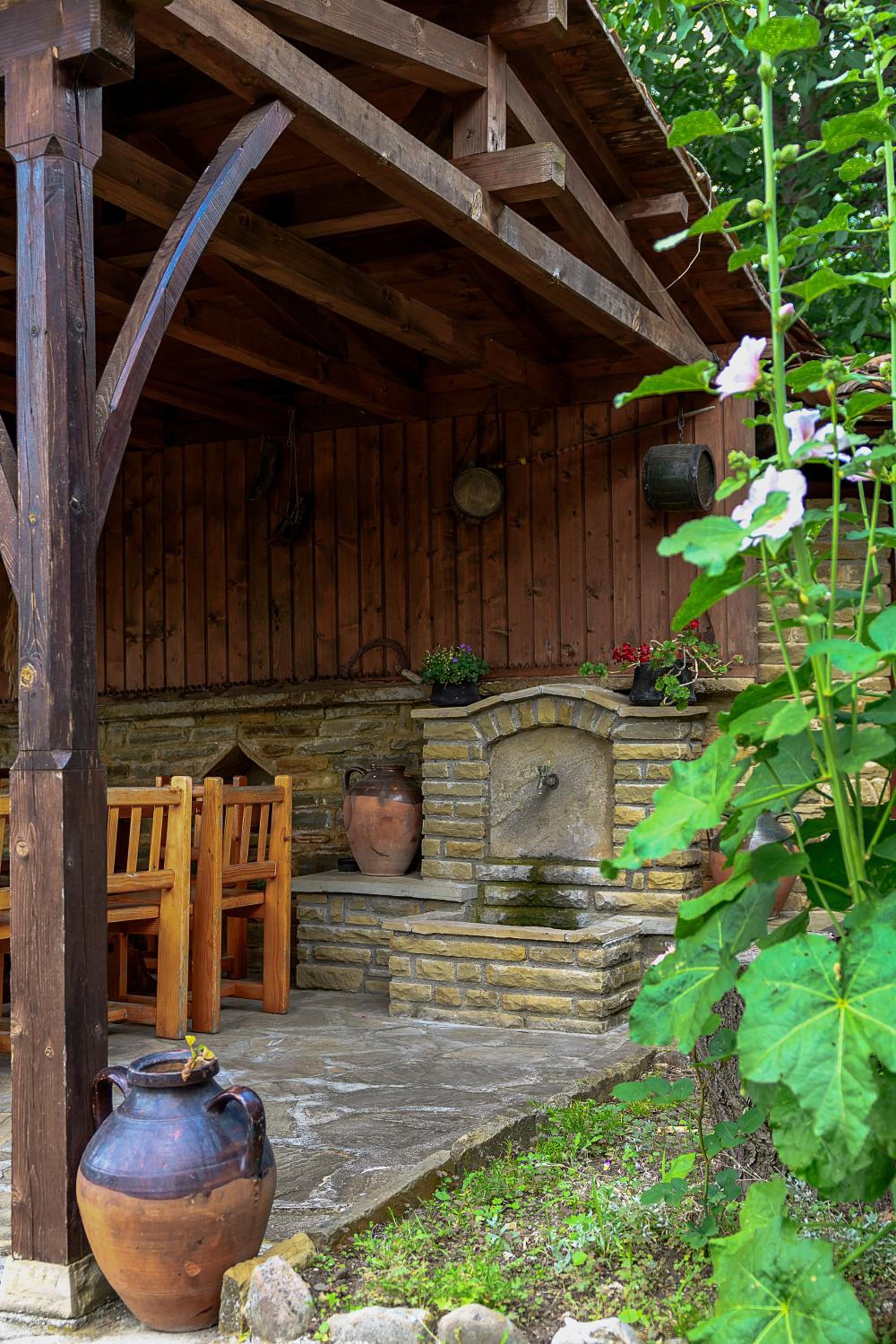 Guest House Zarkova Kushta