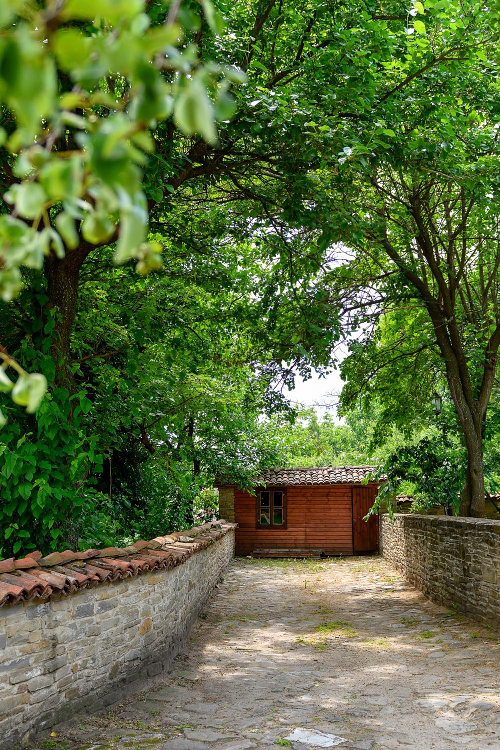 Guest House Zarkova Kushta