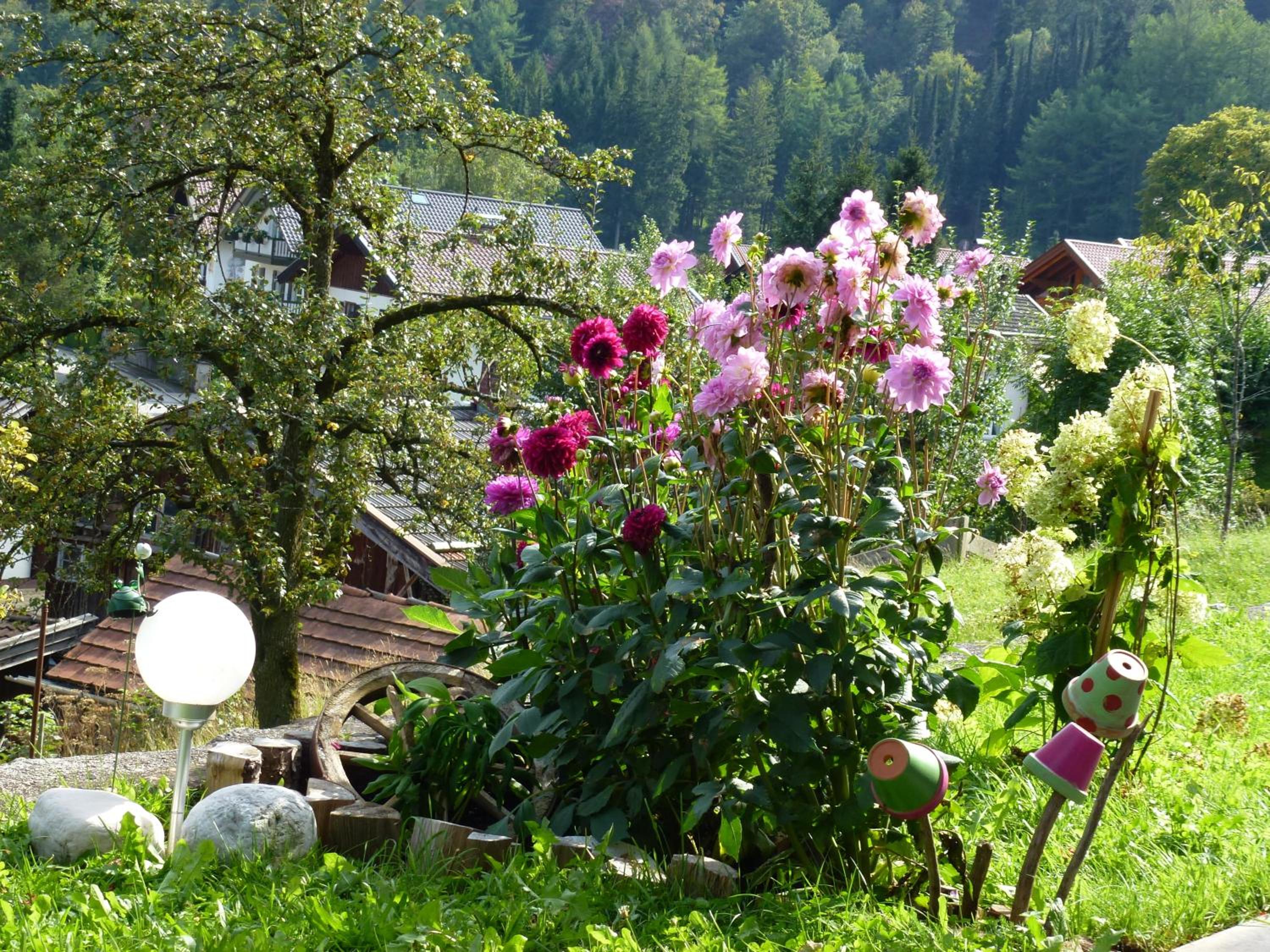 Haus Sonnenruh