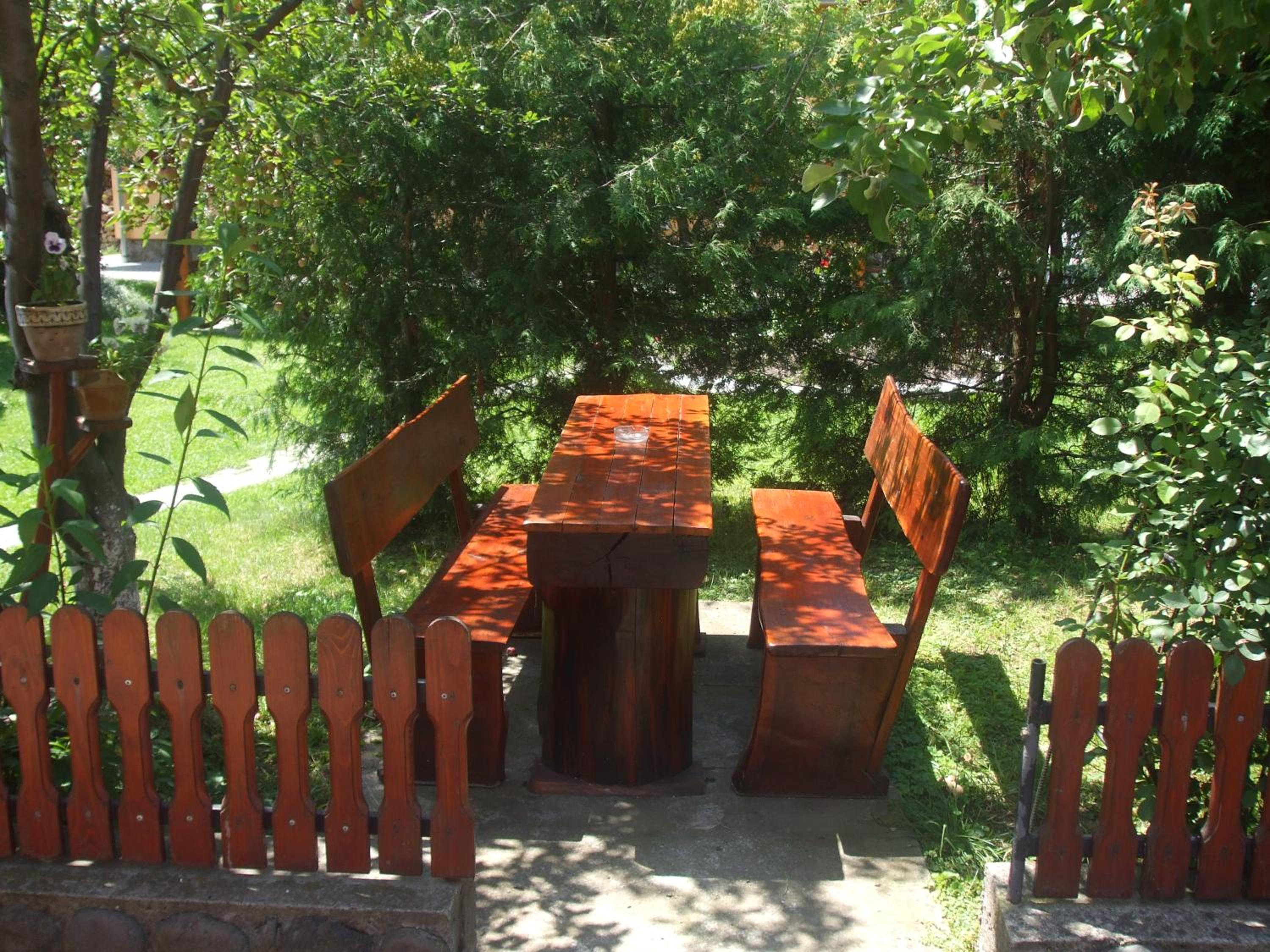 Photo 21