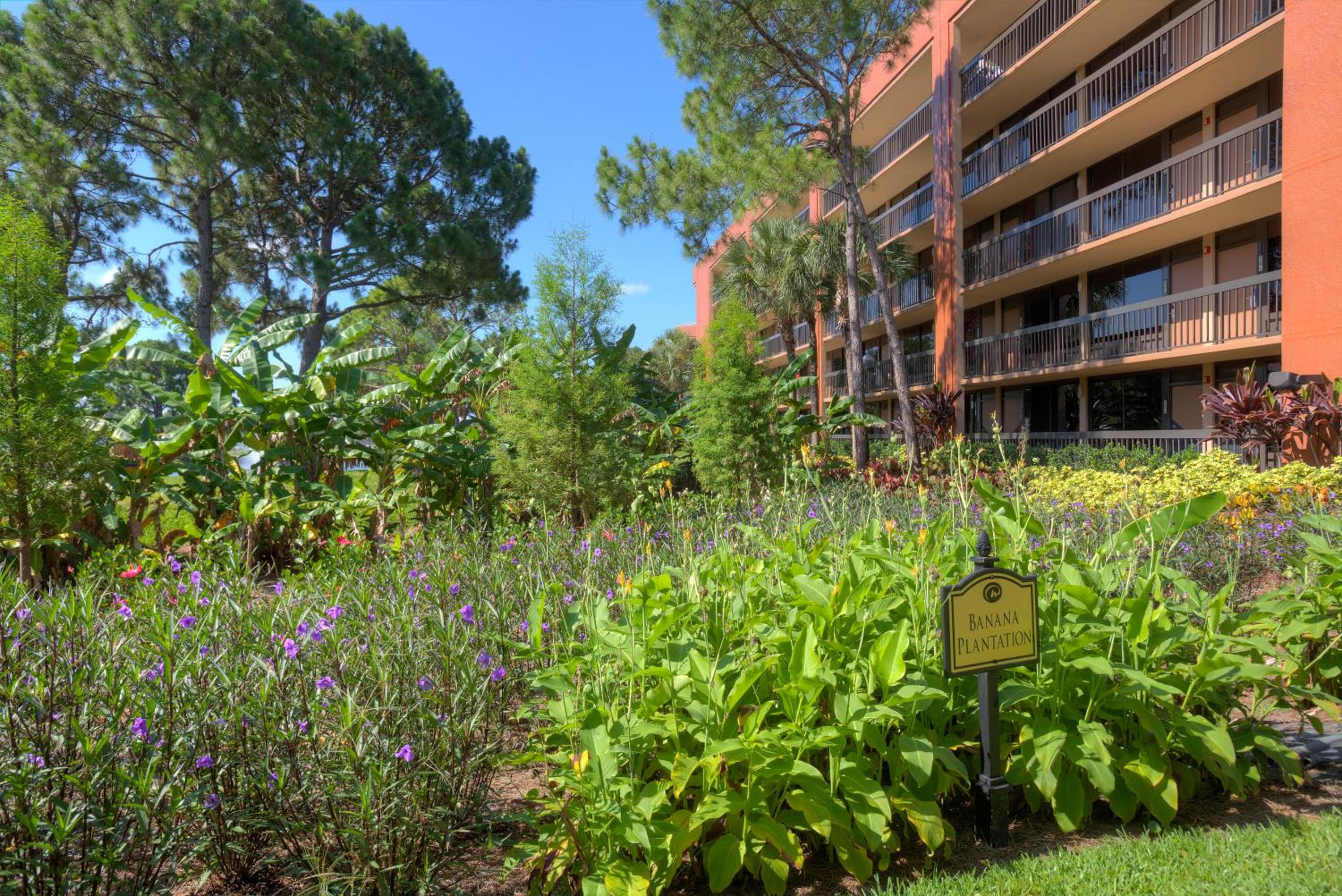 Rosen Inn Lake Buena Vista — photo 43