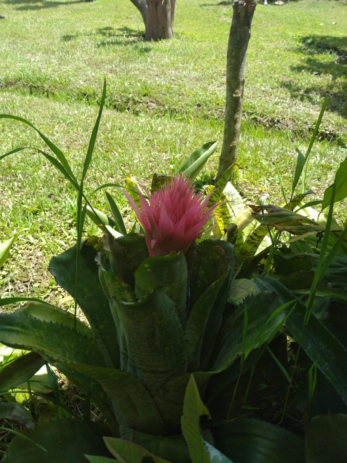 Photo 47