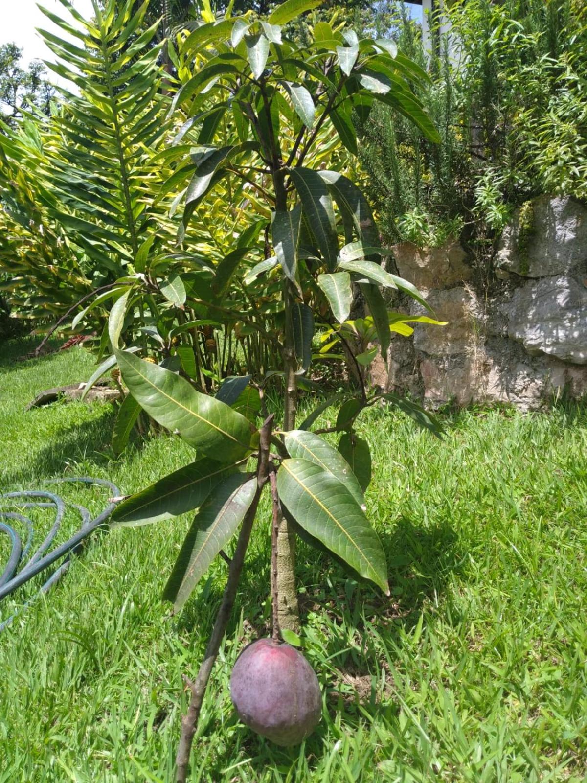 Photo 44