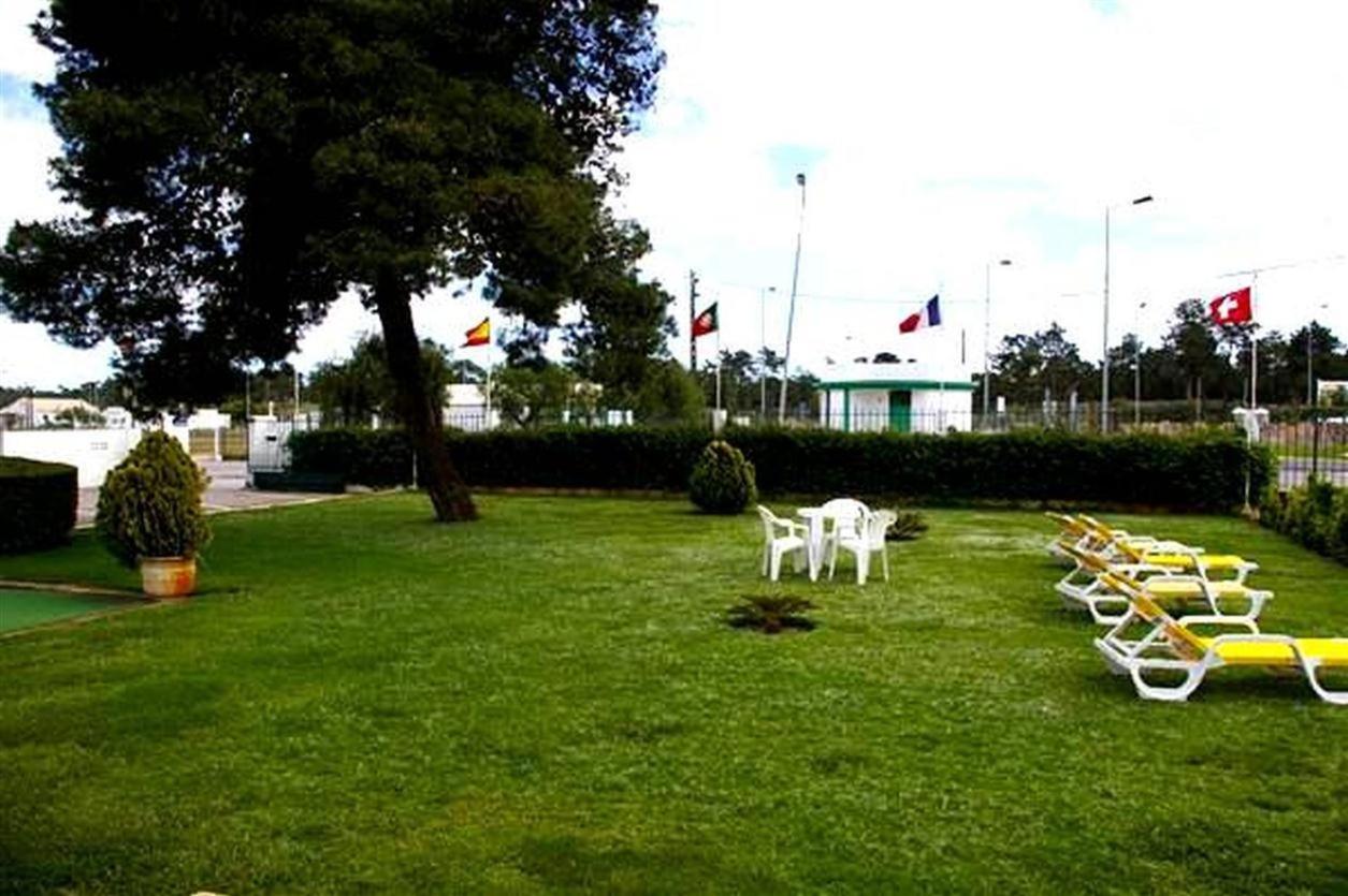 Photo 50