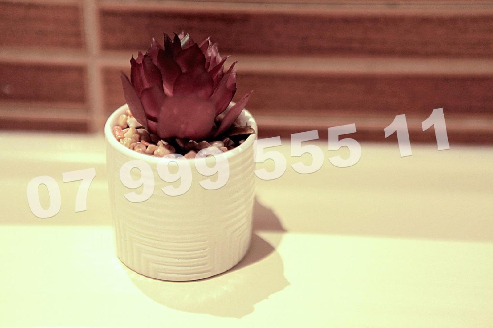 Cataleya Suites Aparthotel, photo 46
