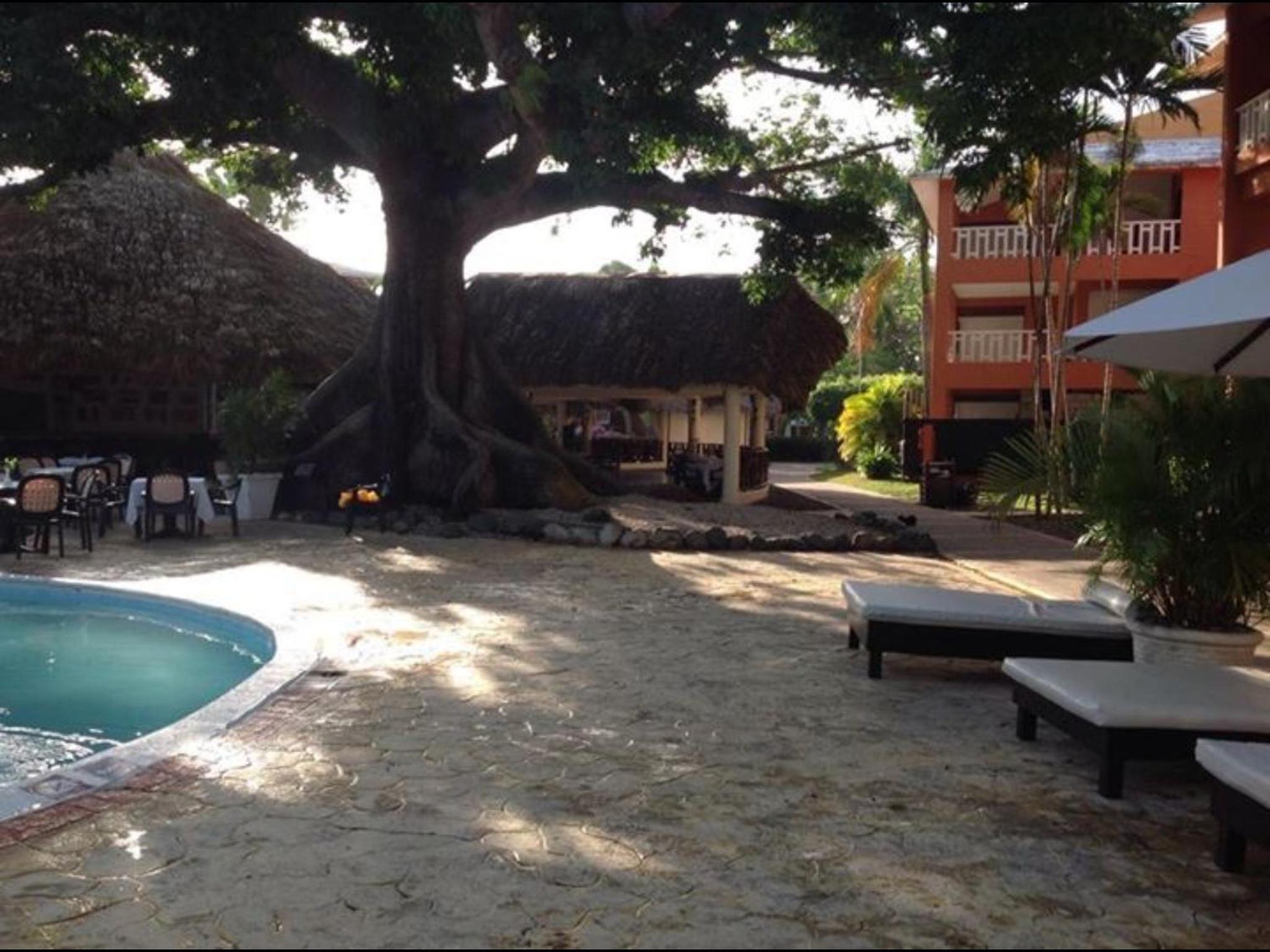 Delightful Caribbean apartment in Boca Chica view 3