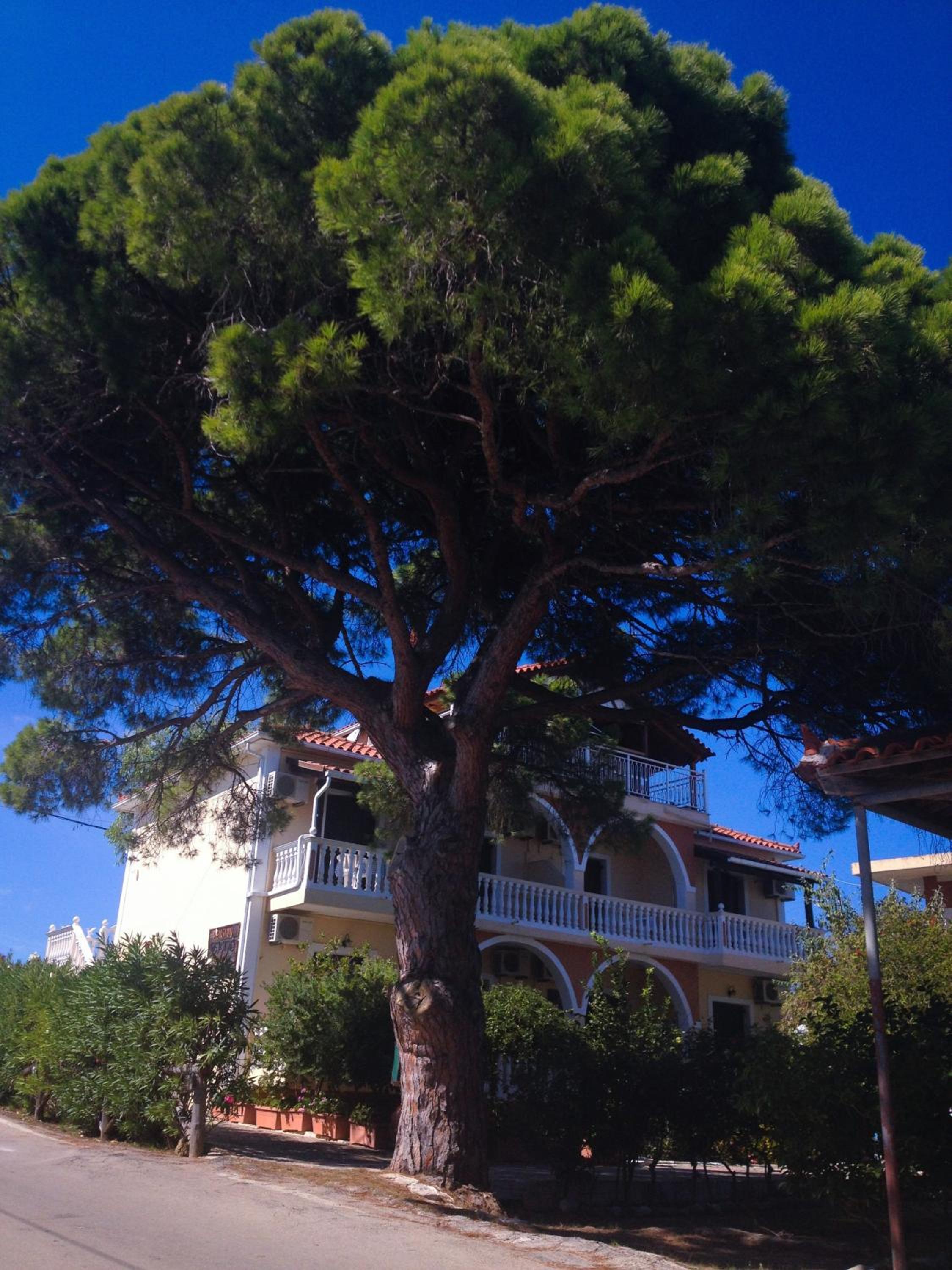 Photo 48