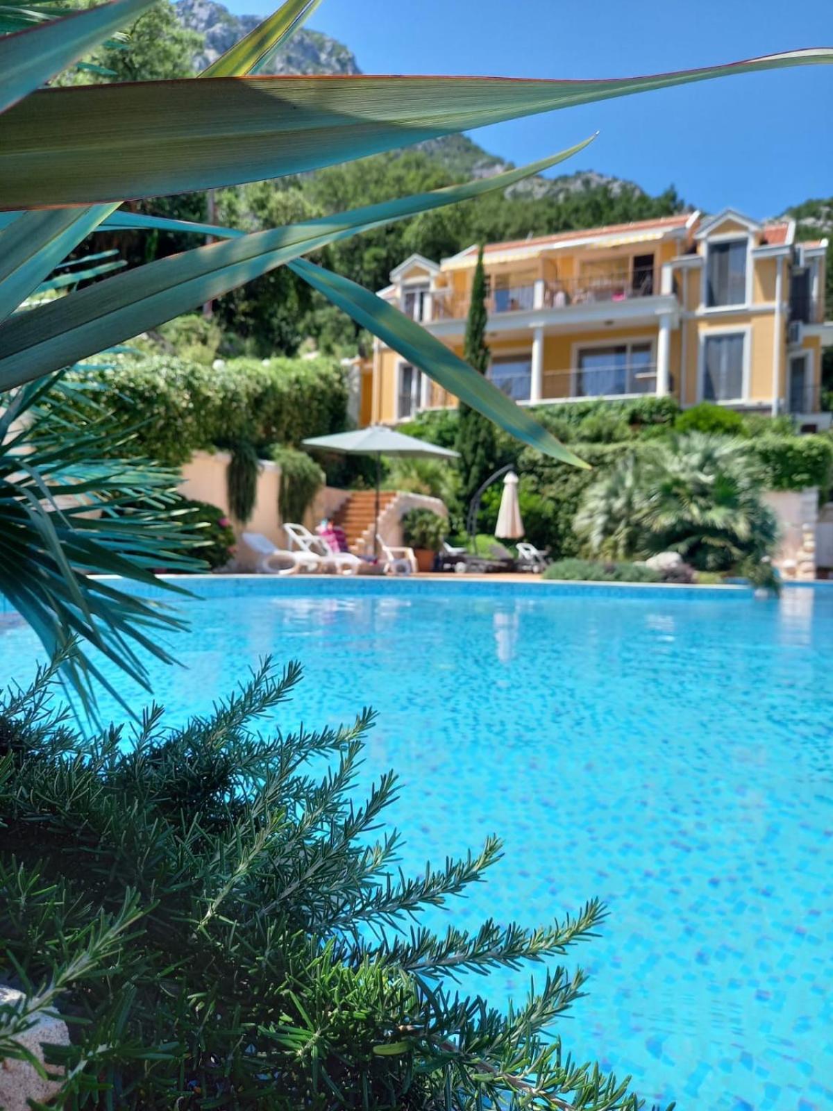 Boka Peaks Apartments photo 5